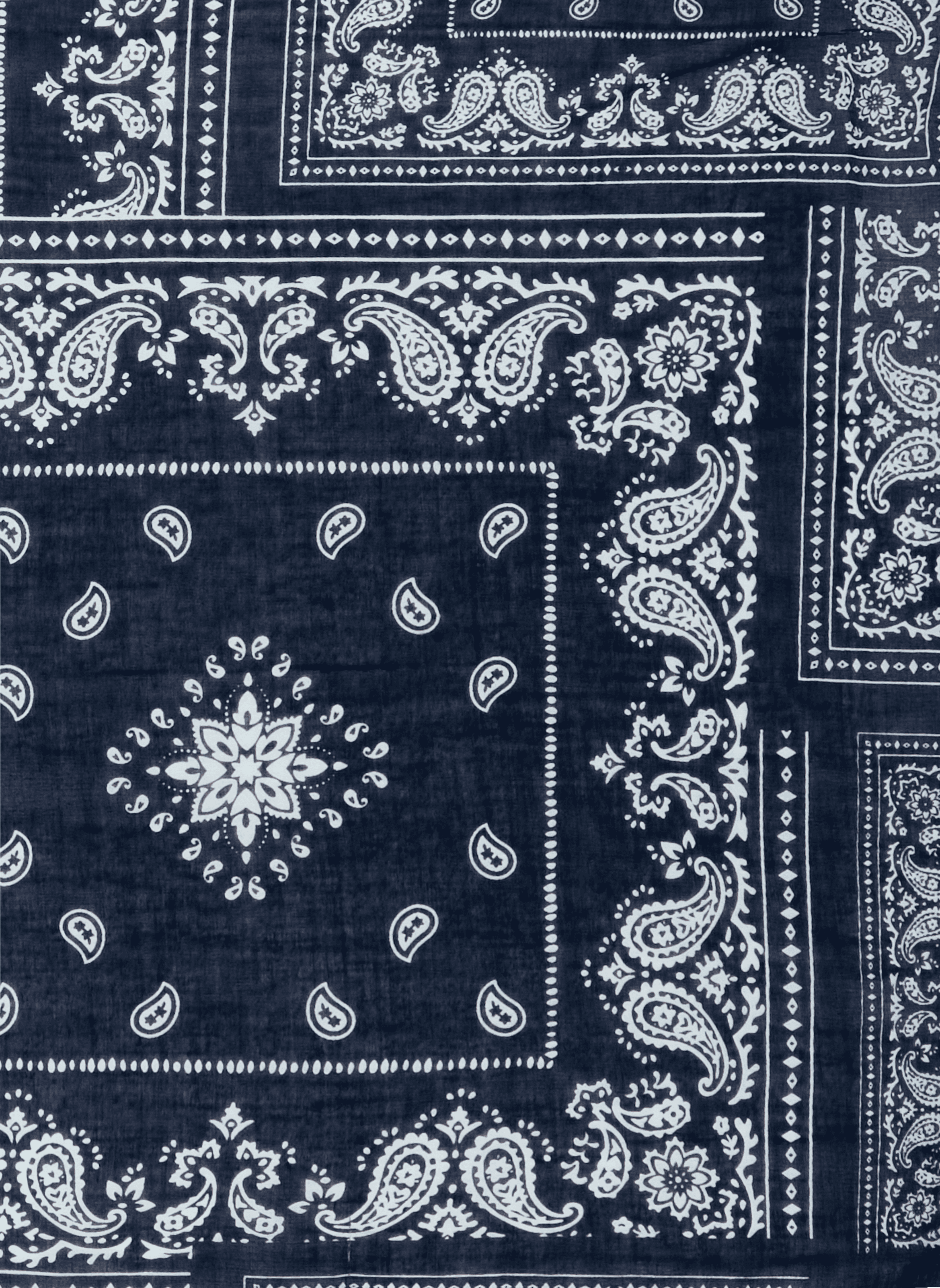 Foulard imprimé en coton Multicolore