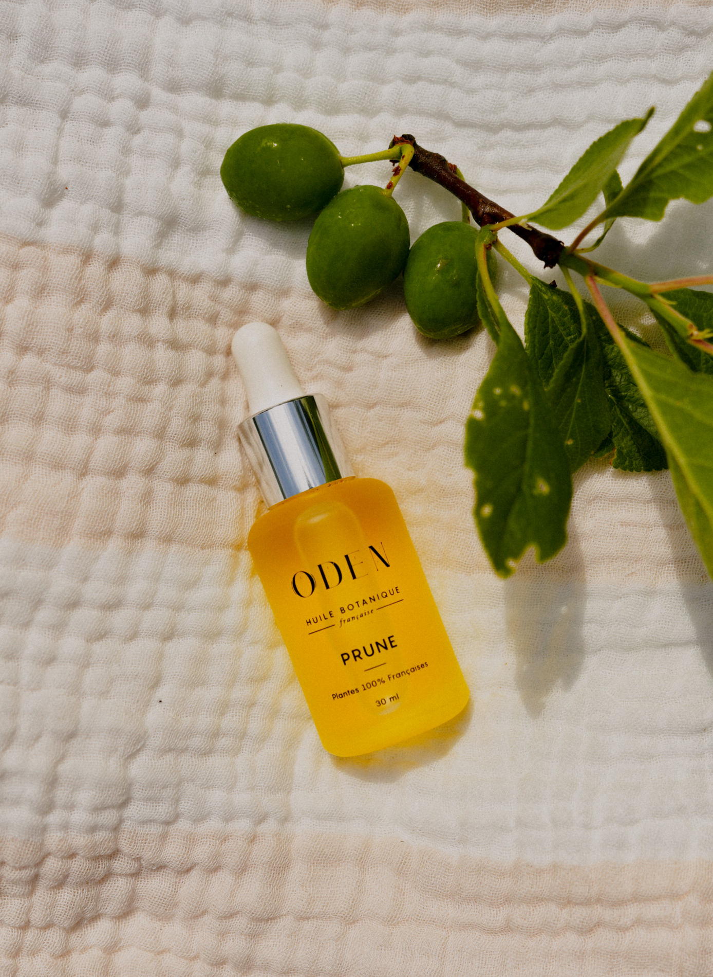 Plum botanical oil ODEN No color