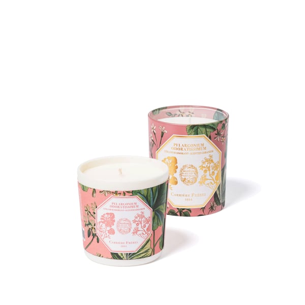Recharge bougie Pelargonium Odoratissimum - Géranium