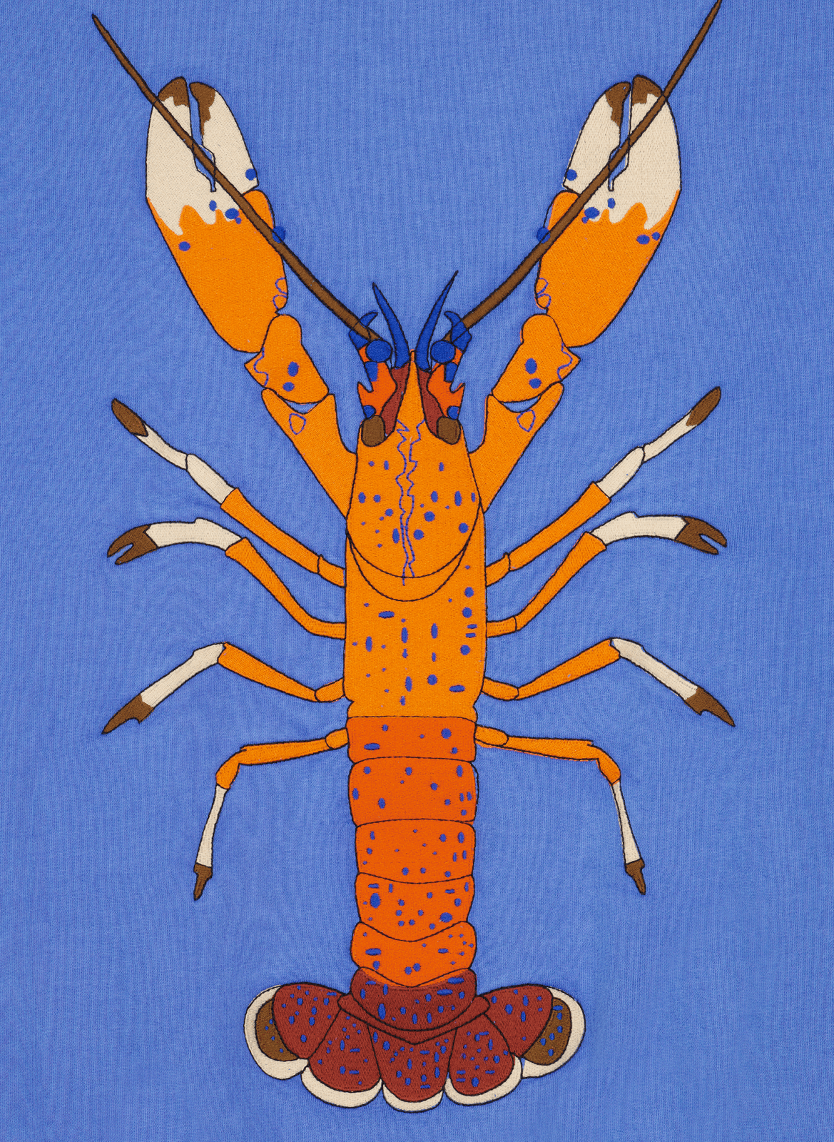 Sweat Reaumur Lobster à capuche en coton MAISON LABICHE Bleu
