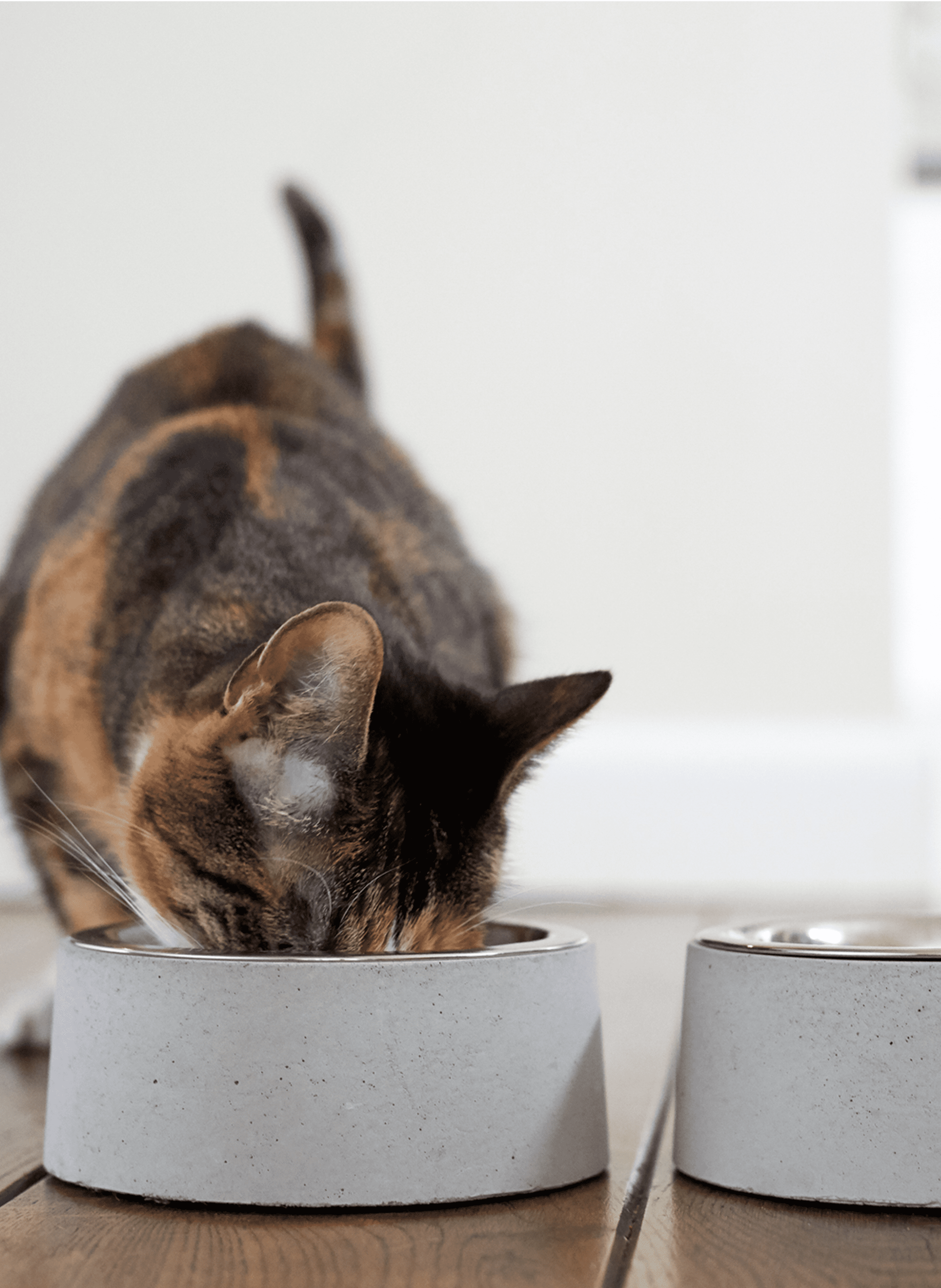 Gamelle en acier et béton BAGANE Gris
