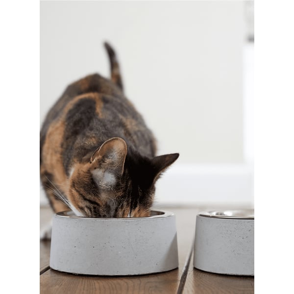 Bagane Gamelle En Acier Et Béton