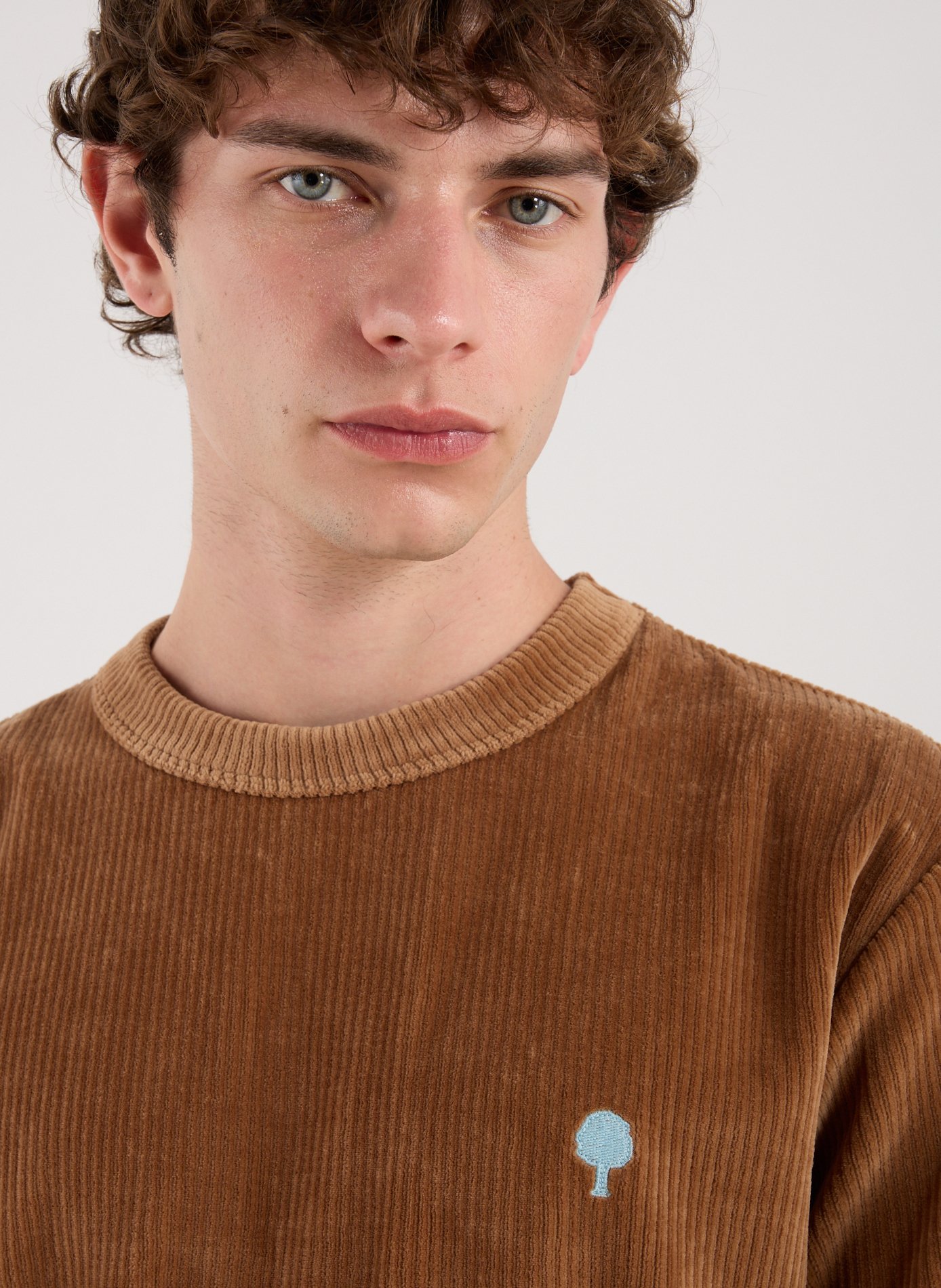 Cotton round-neck T-shirt FAGUO Brown