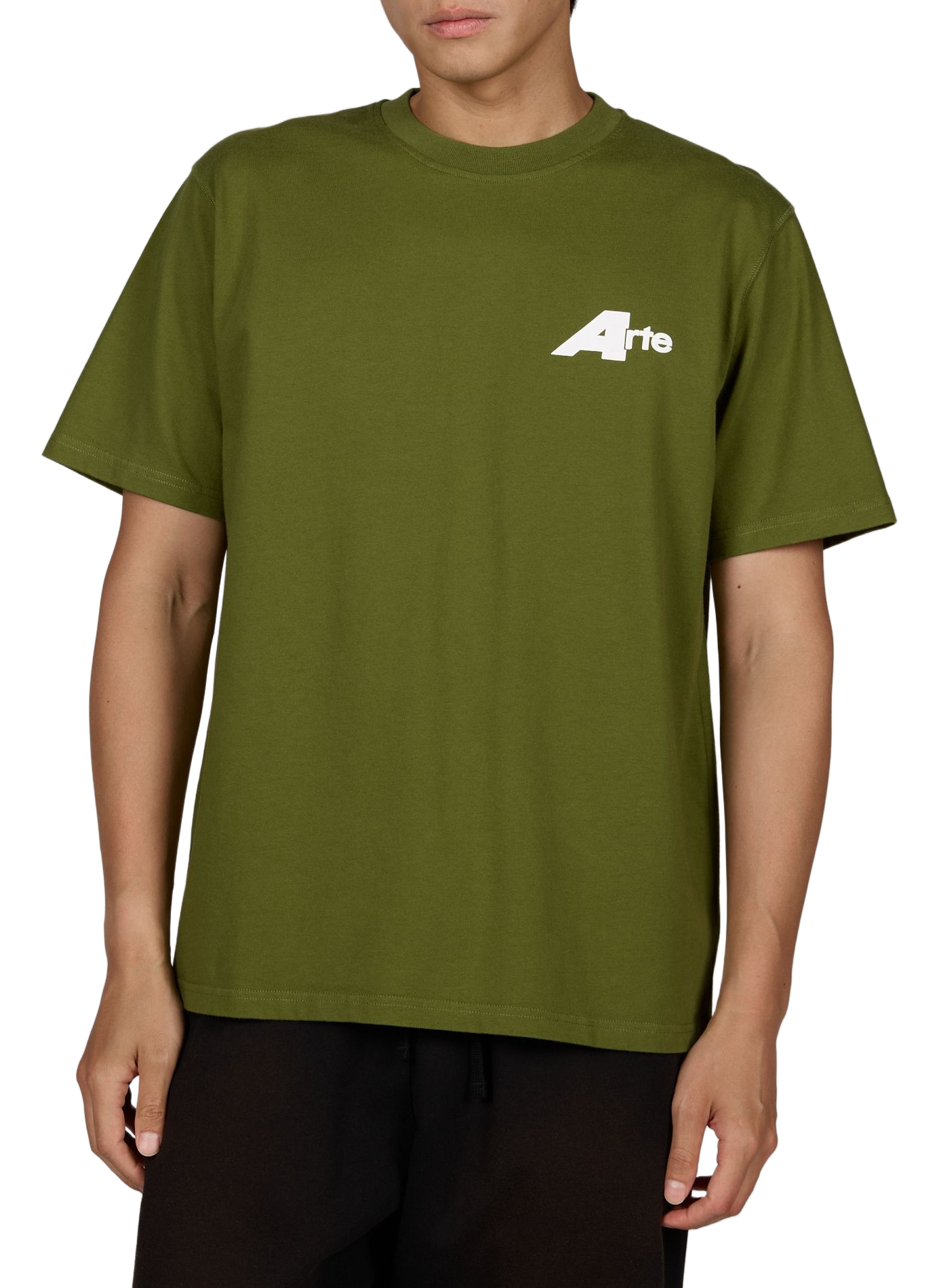 Tee-shirt oversized round neck in printed cotton ARTE ANTWERP Green