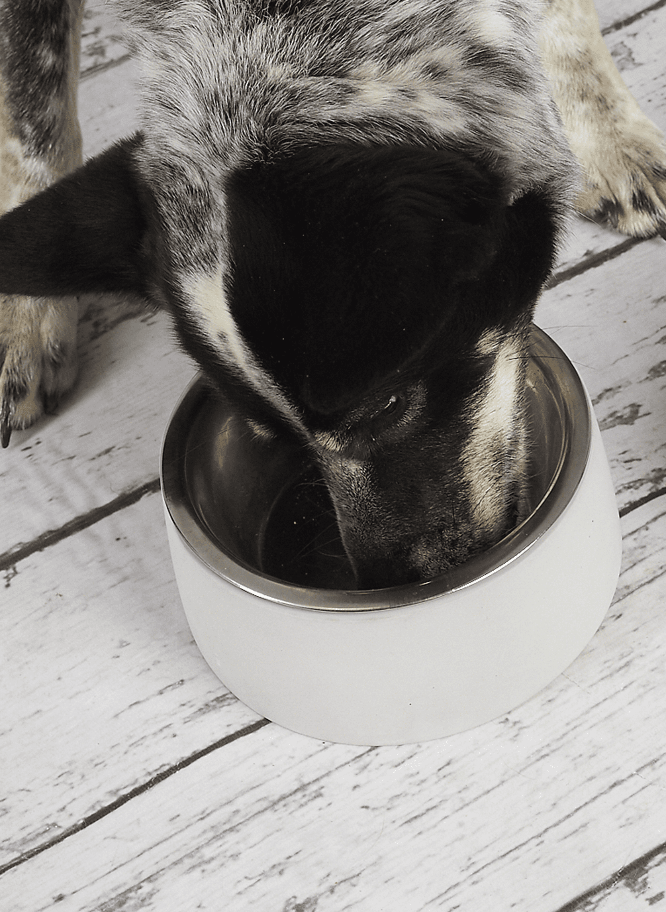 Gamelle en béton et acier BAGANE Gris