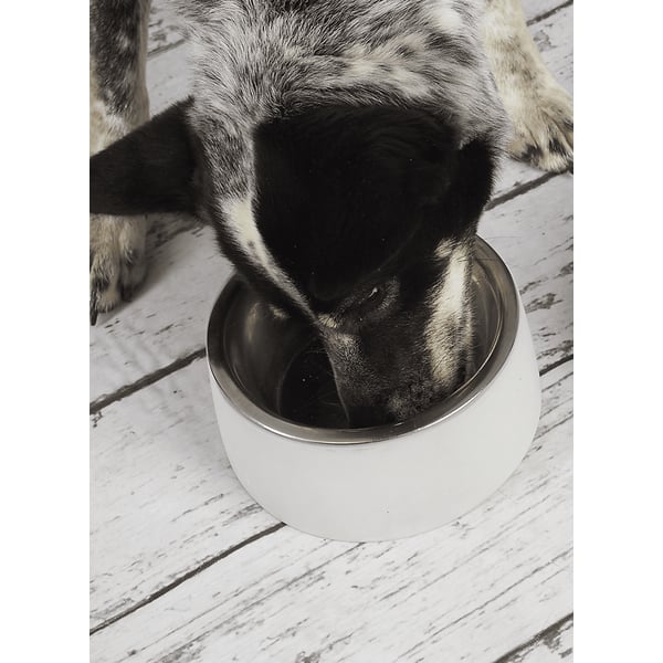 Bagane Gamelle En Béton Et Acier