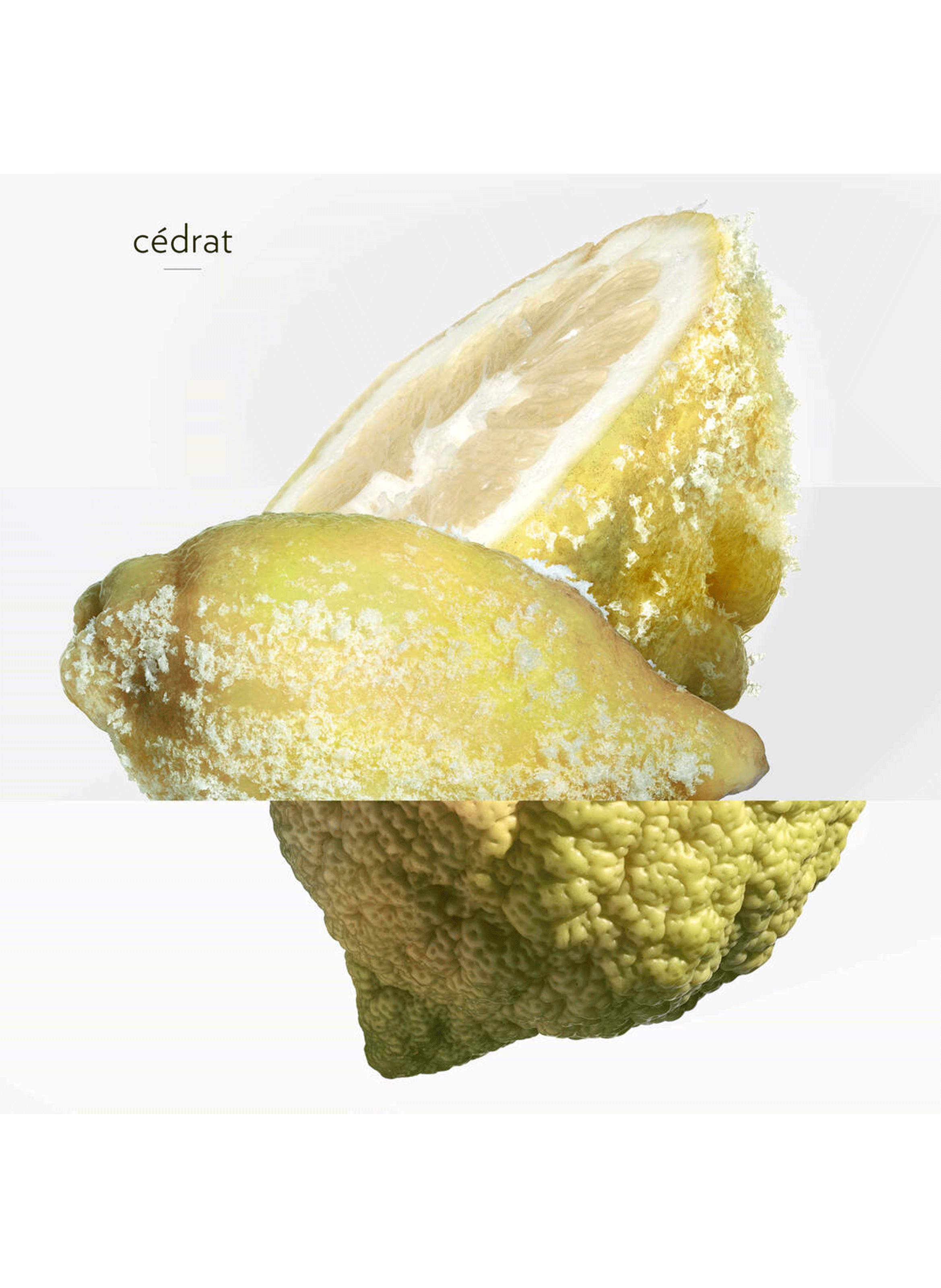 Terre d?Hermès Eau Givrée eau de parfum HERMÈS No color