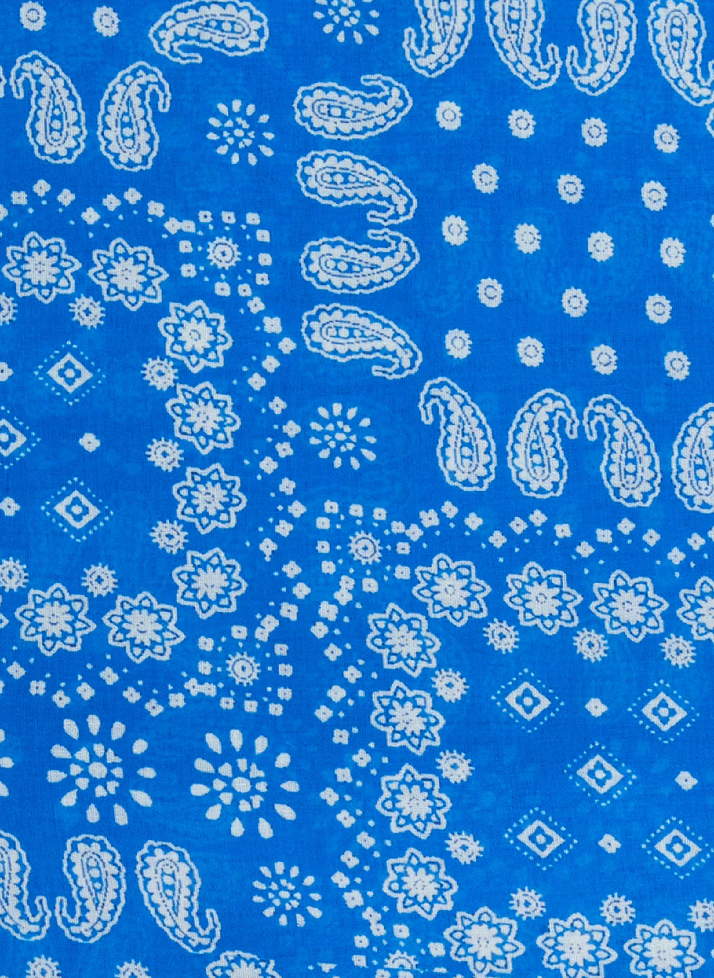 Foulard imprimé SAISON 1865 Bleu