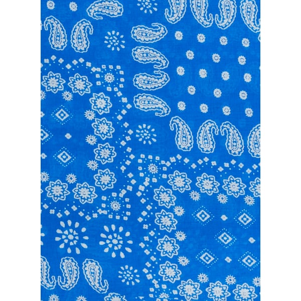 Saison 1865 Printed Scarf In Blue