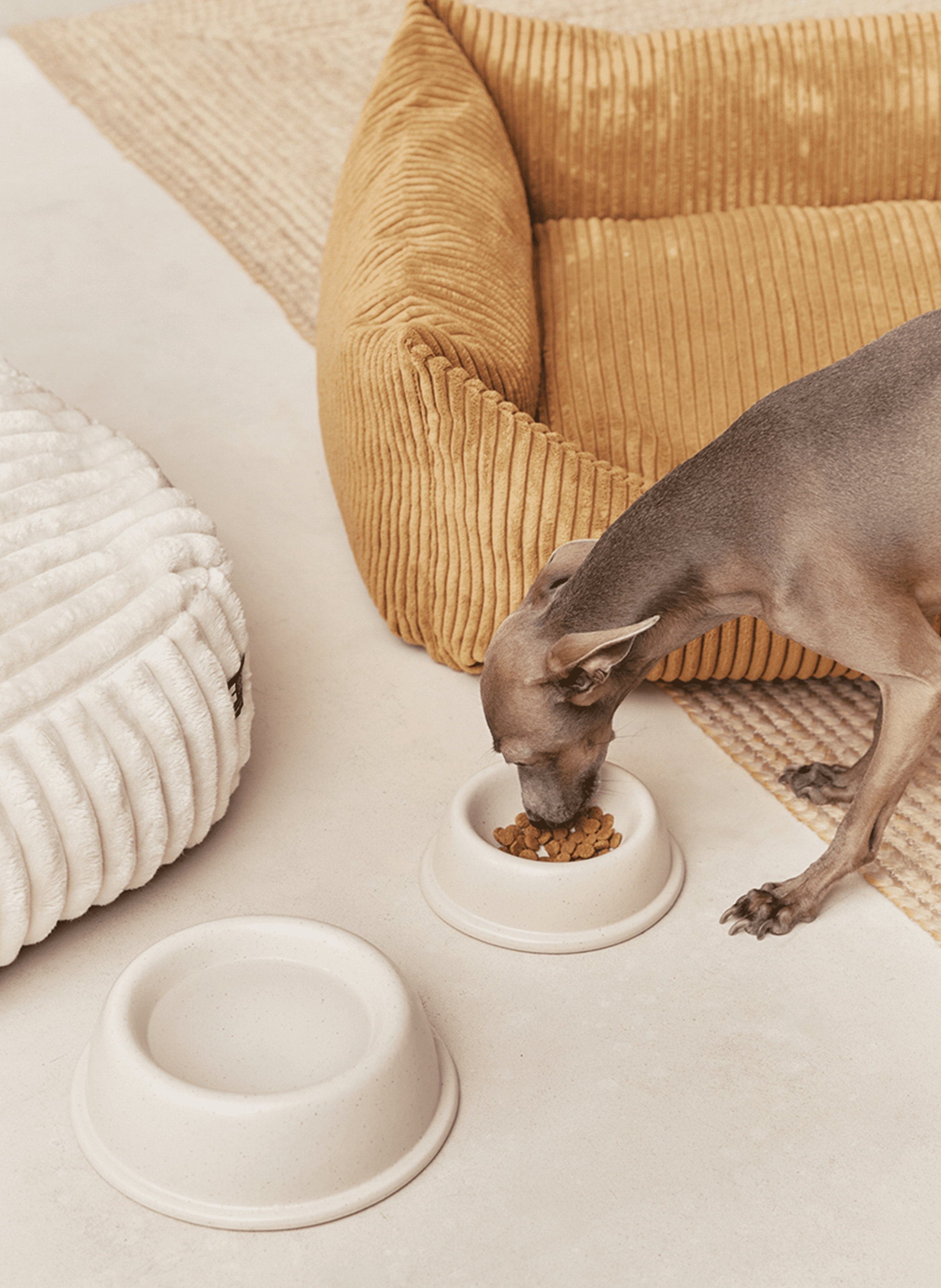 Gamelle en céramique BAGANE Beige