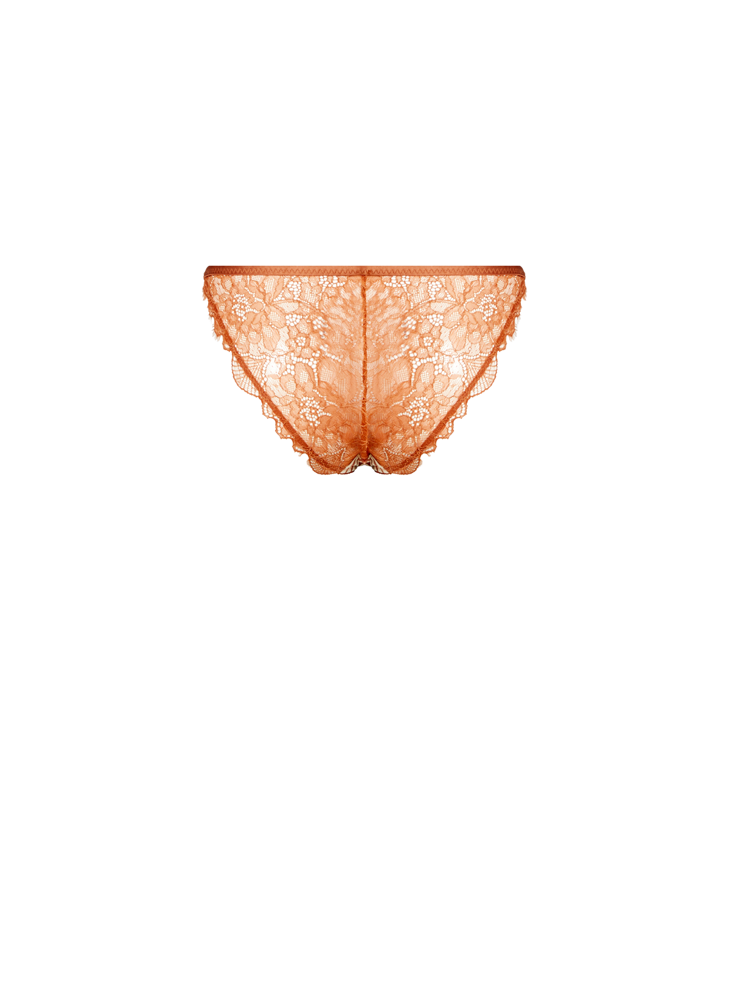 Culotte bi-matière Wild Rose LOVE STORIES Multicolore