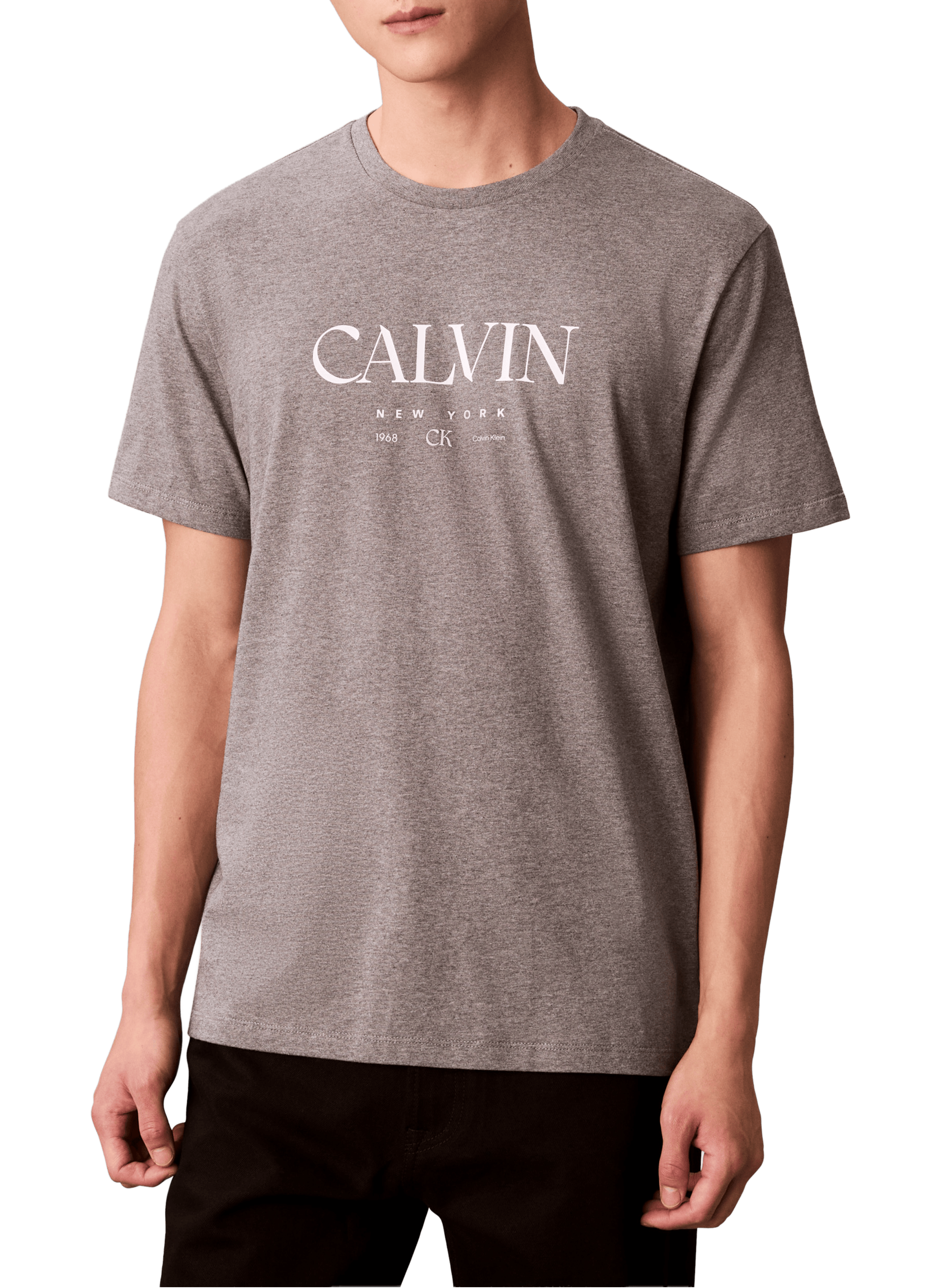 Straight cut cotton t-shirt with logo CALVIN KLEIN Grey