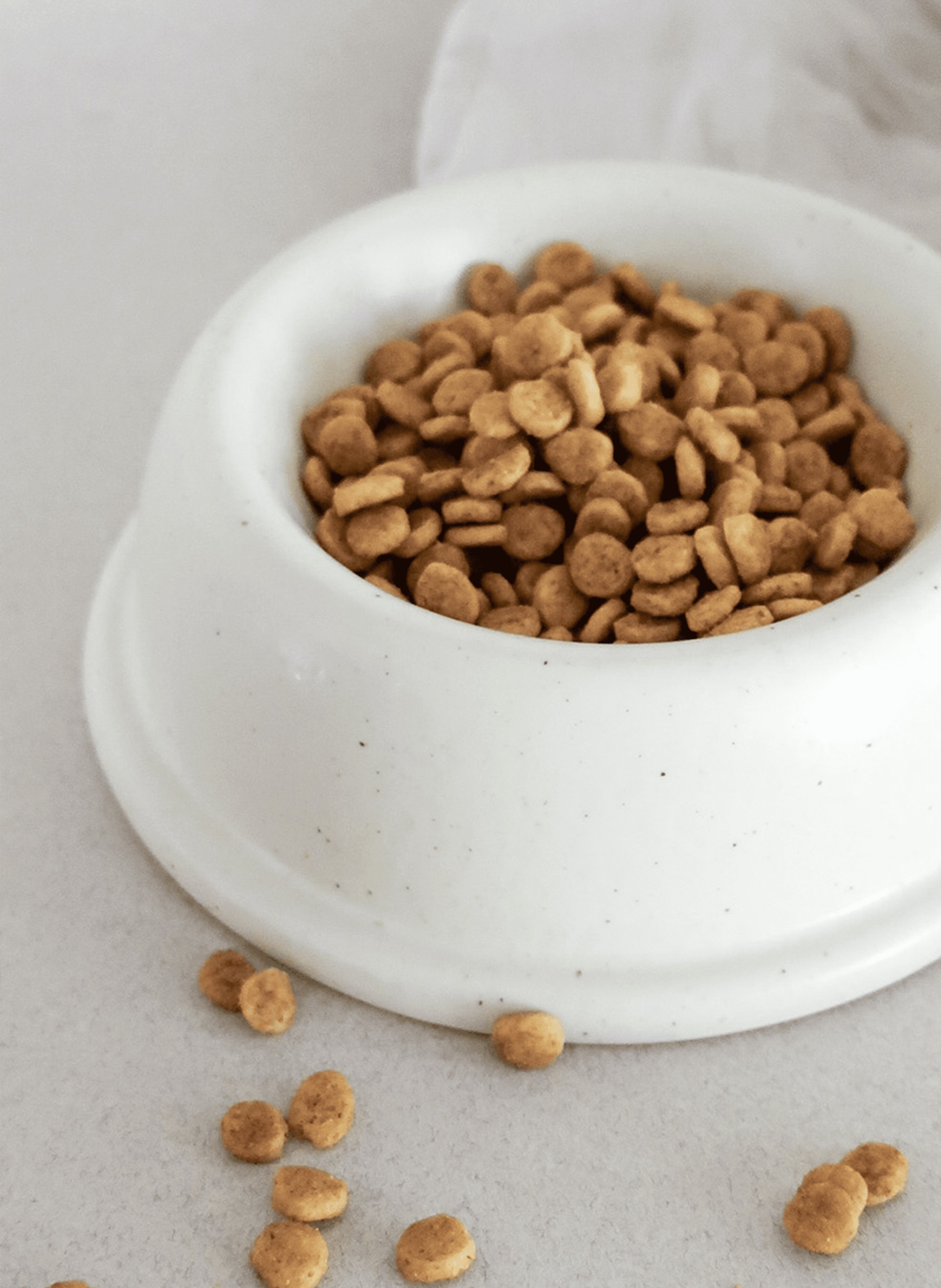 Gamelle en céramique BAGANE Beige