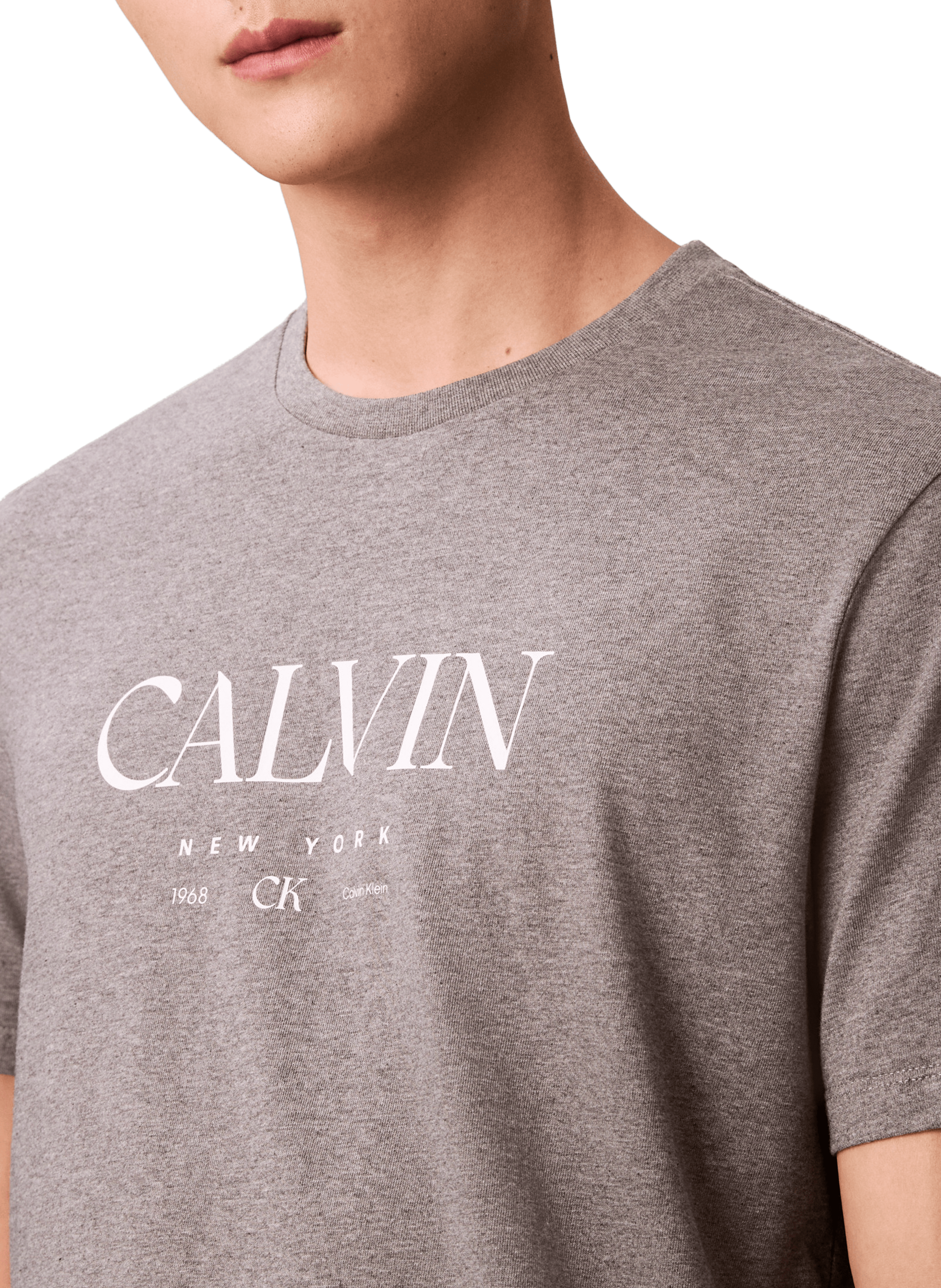 Straight cut cotton t-shirt with logo CALVIN KLEIN Grey