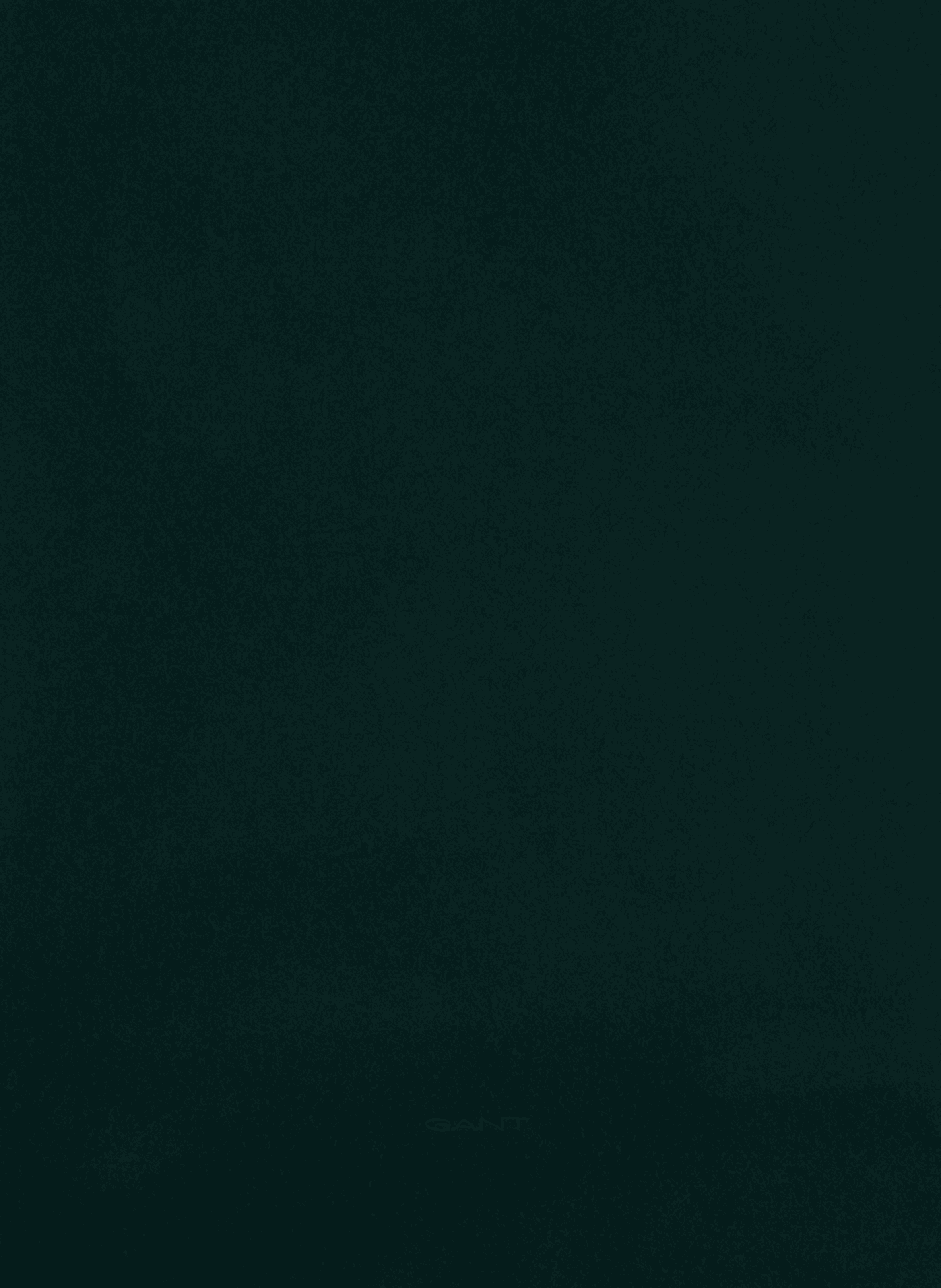 Fringed wool scarf GANT Green