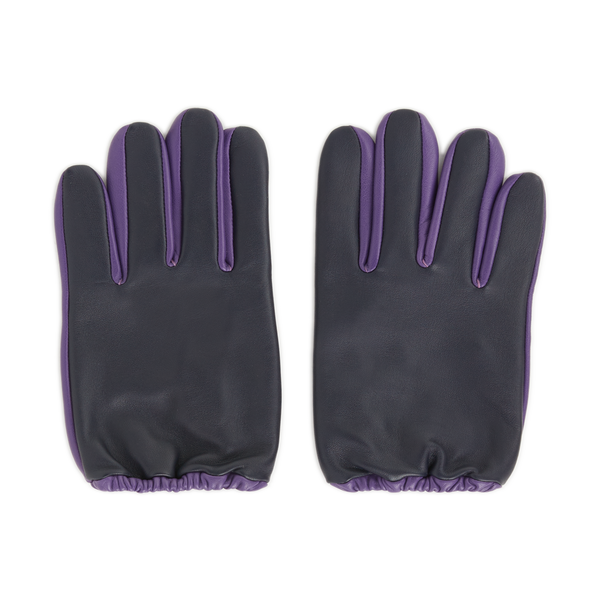 Aristide Leather Gloves In Blue
