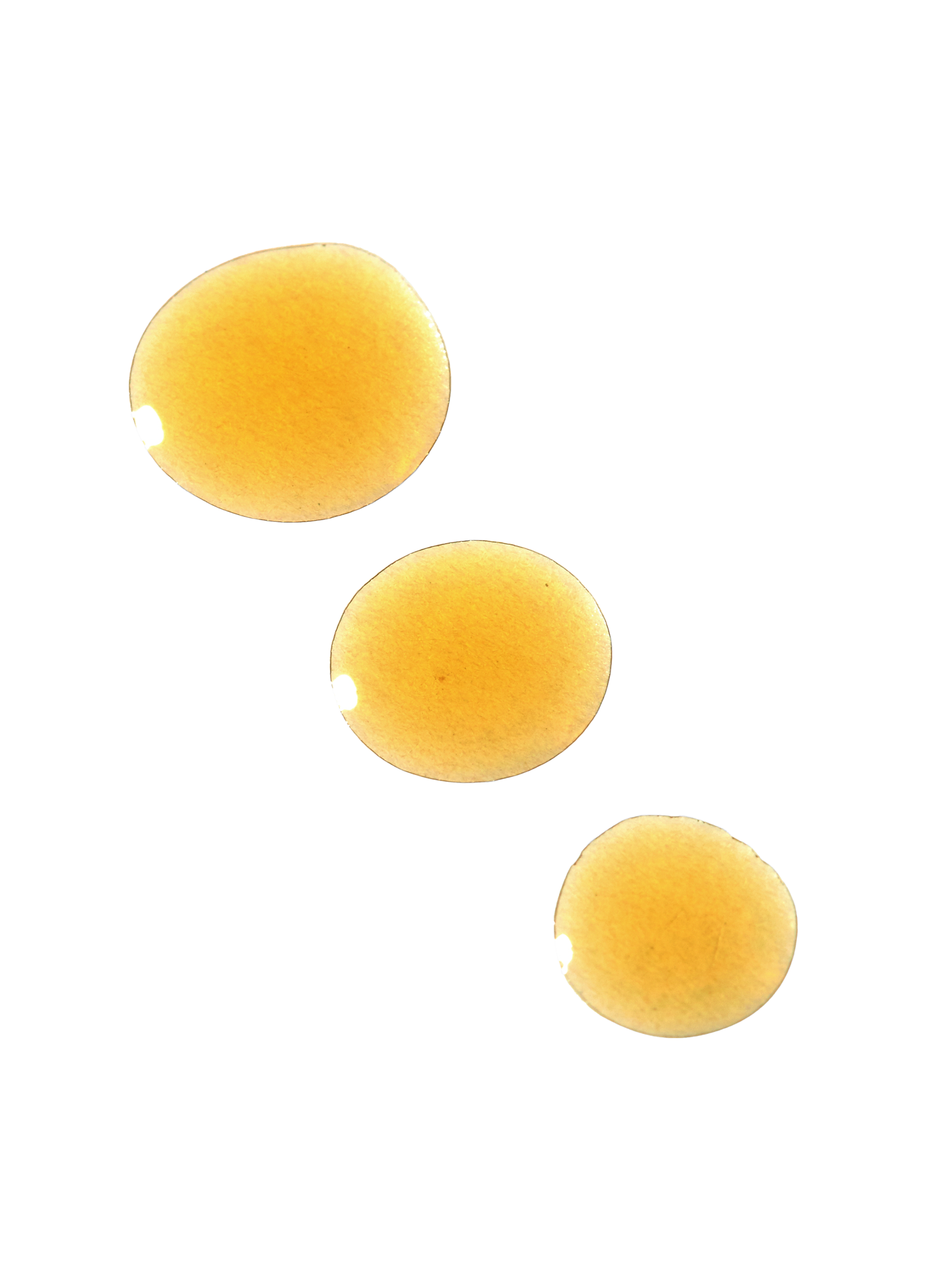 Vipers Gloss - Viperine & Amaranth Face Oil No color