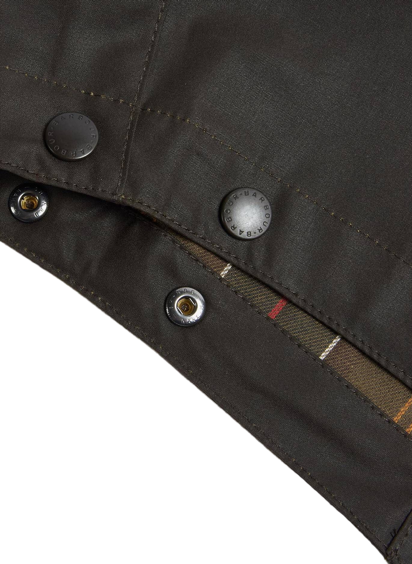 Removable cotton hood BARBOUR Green