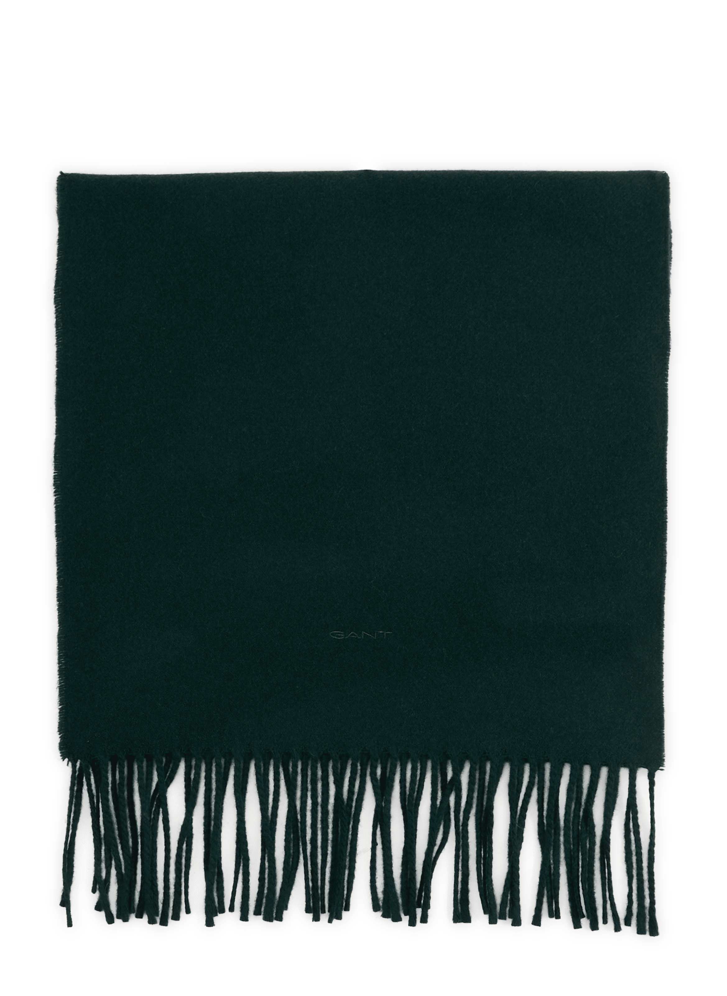 Fringed wool scarf GANT Green