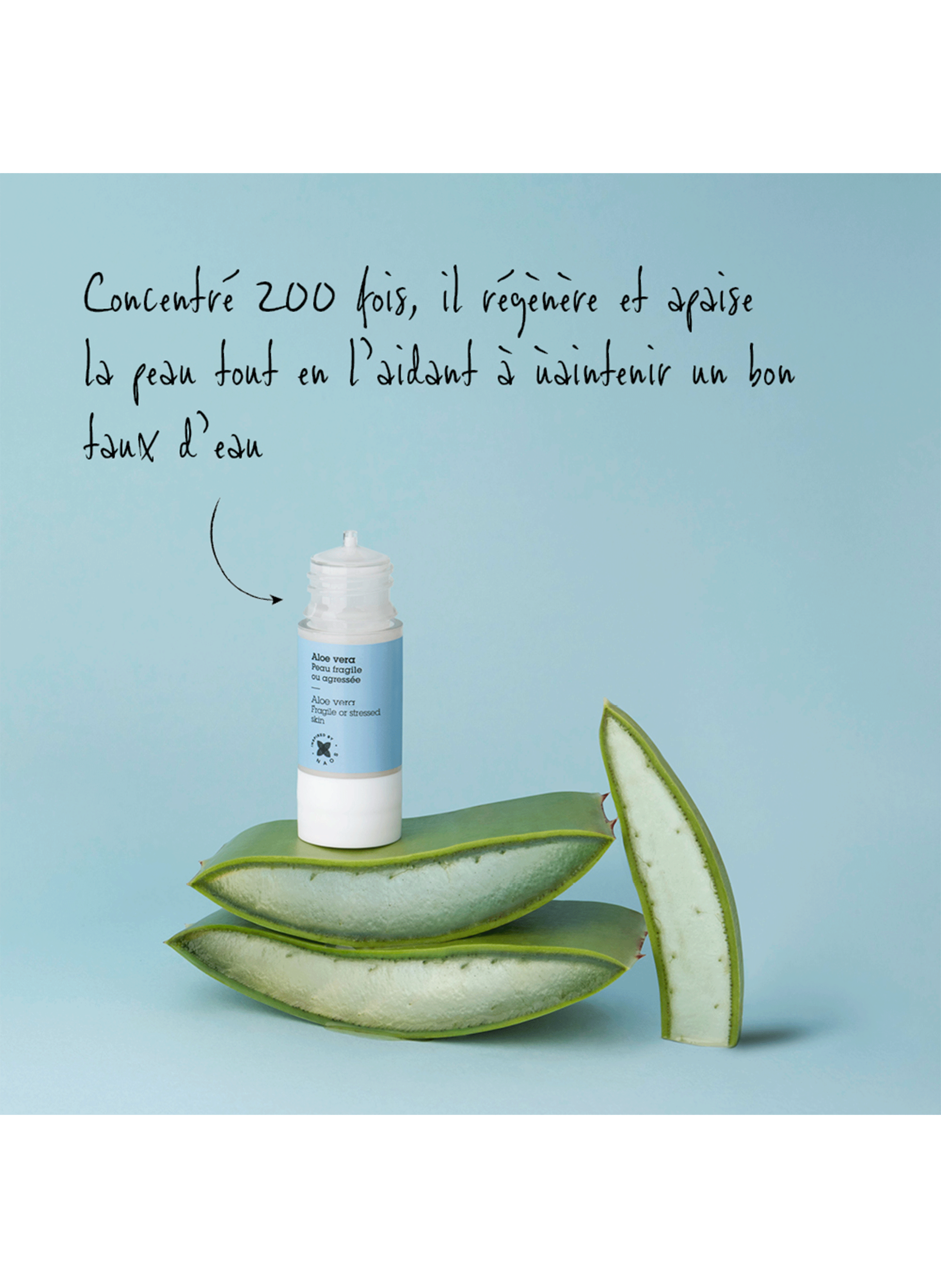 Actif pur aloe vera ETAT PUR No color