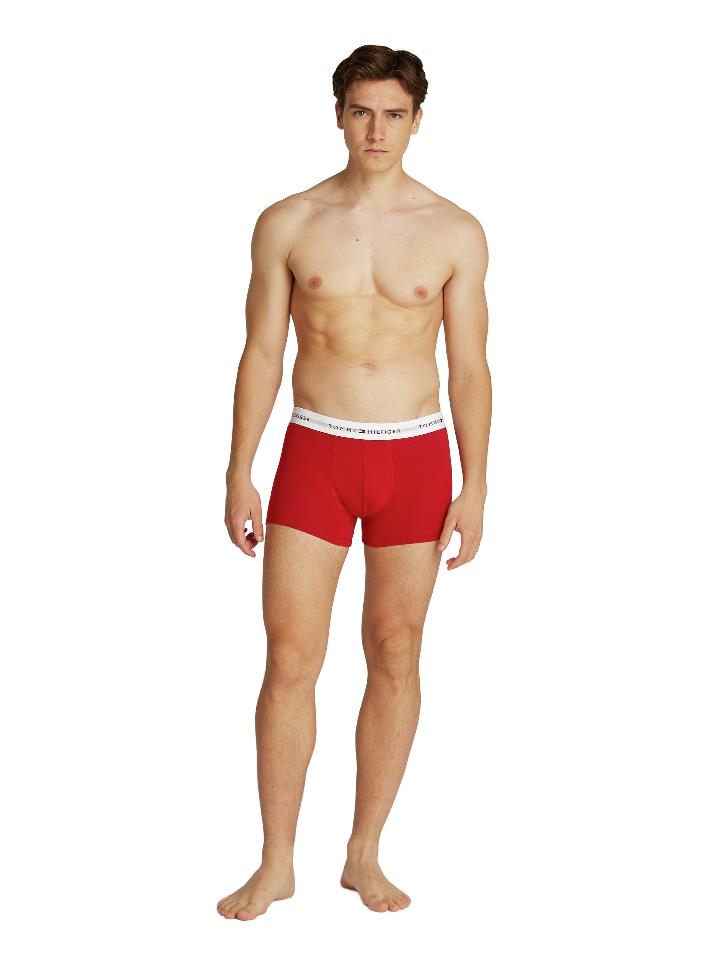 Lot de 3 boxers TOMMY HILFIGER Multicolore