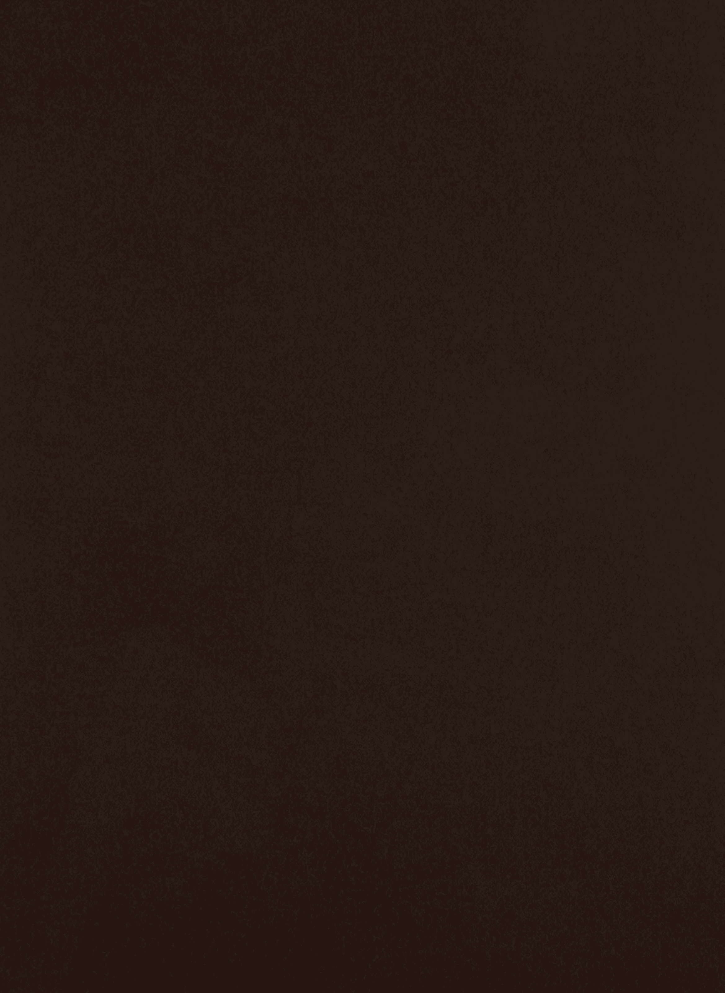 Fringed wool scarf GANT Brown