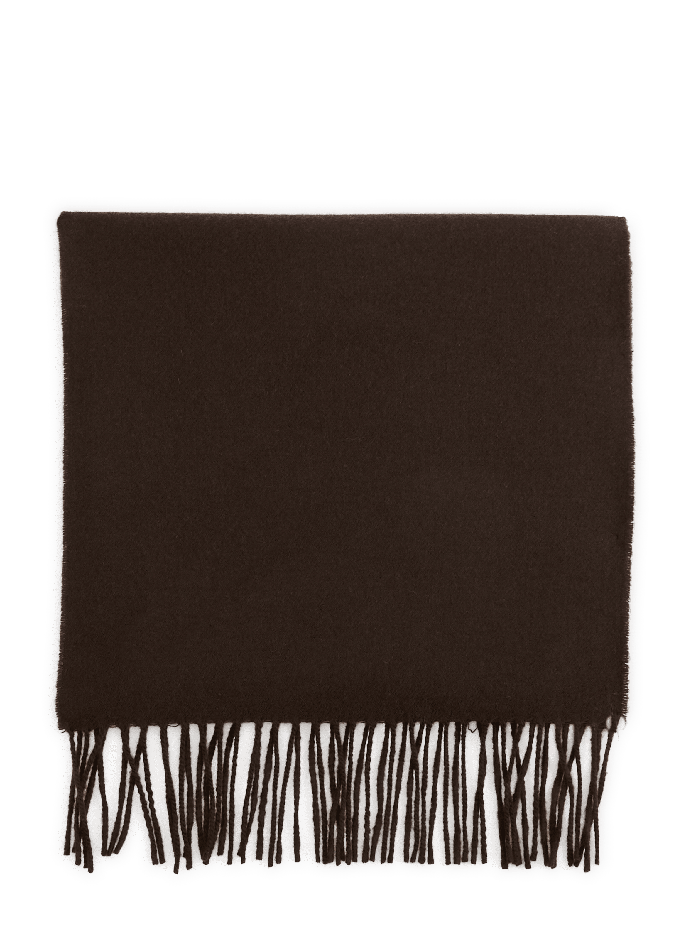 Fringed wool scarf GANT Brown
