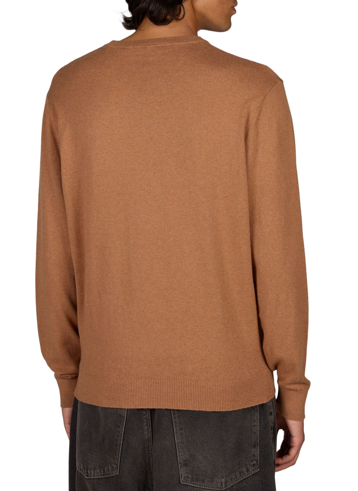 Gerader Rundhalsausschnitt-Pullover aus Baumwolle und Kaschmir REPLAY Beige
