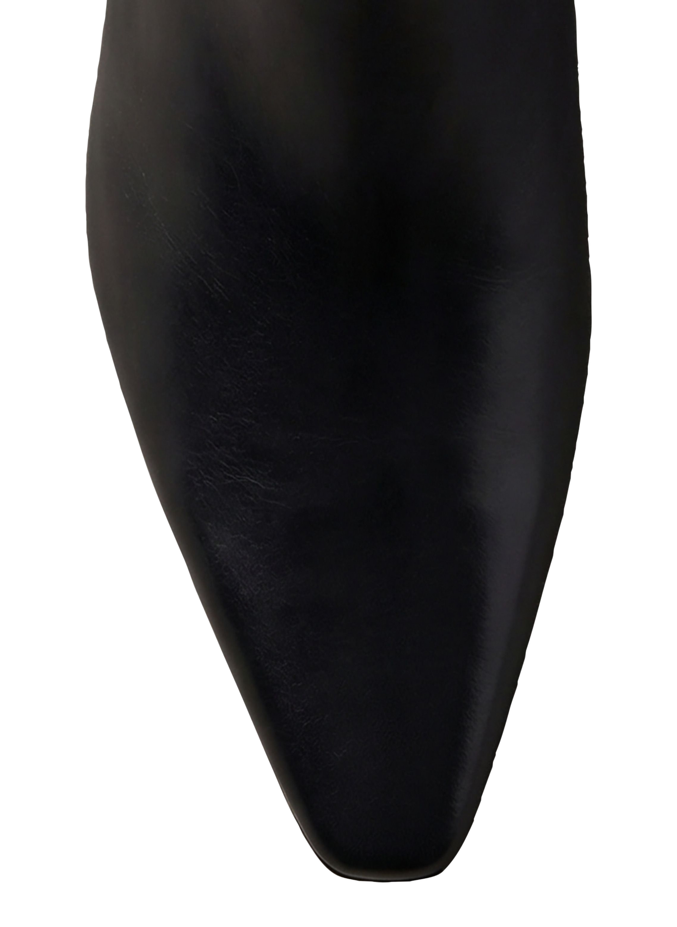 Plain leather zip-up ankle boots CALVIN KLEIN Black