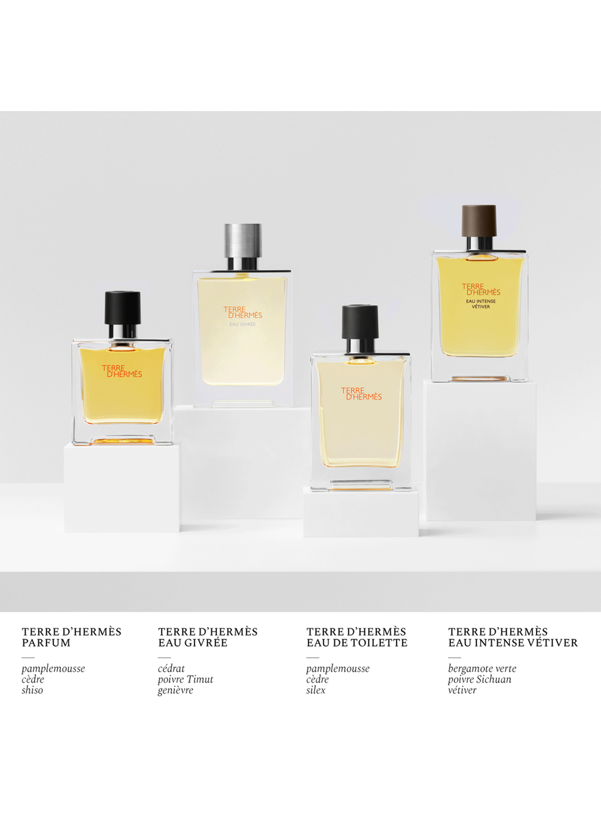 Terre d?Hermès Eau Givrée eau de parfum HERMÈS No color