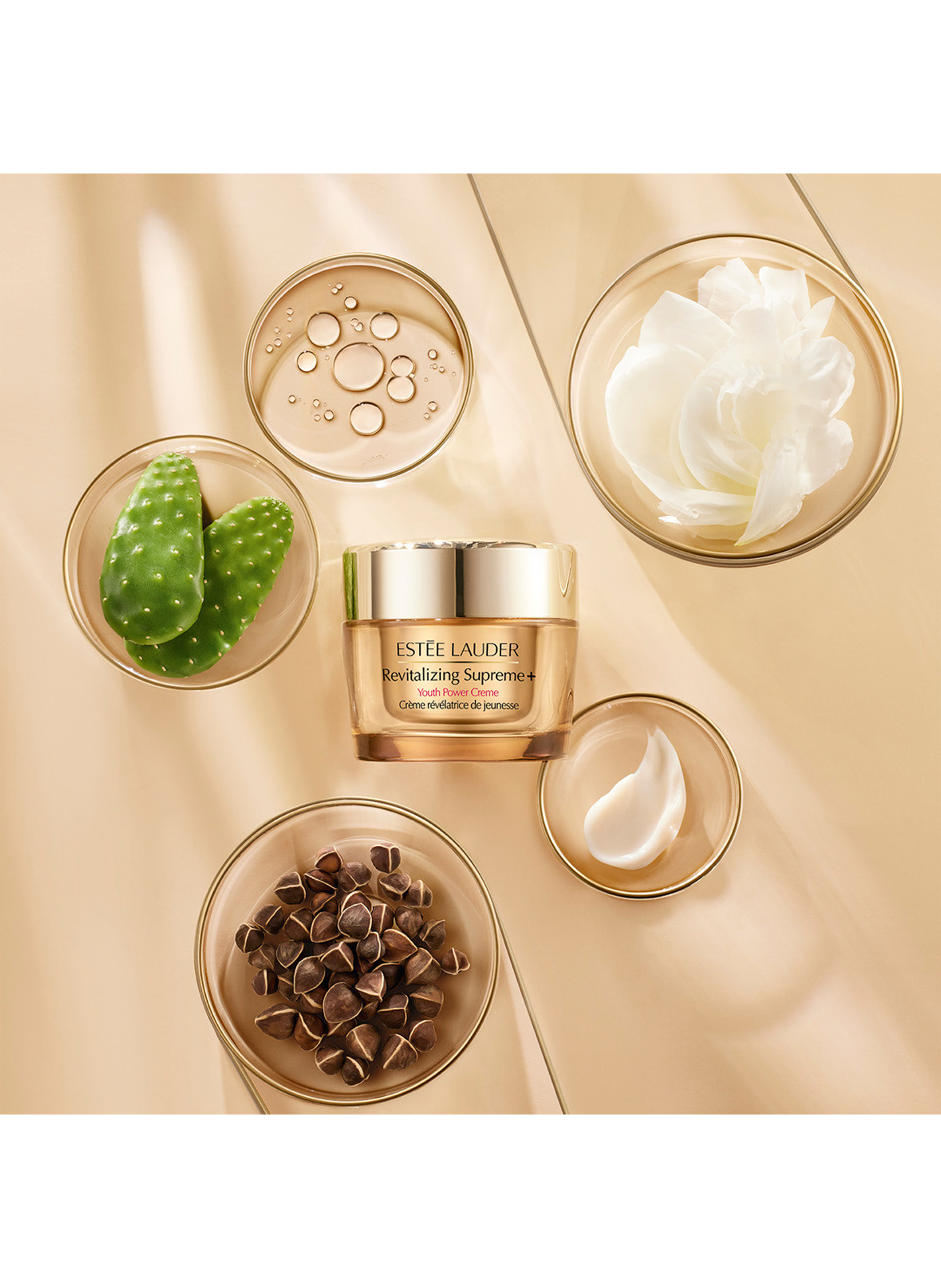 Revitalizing Supreme+ Crème révélatrice de jeunesse - 50ml No color