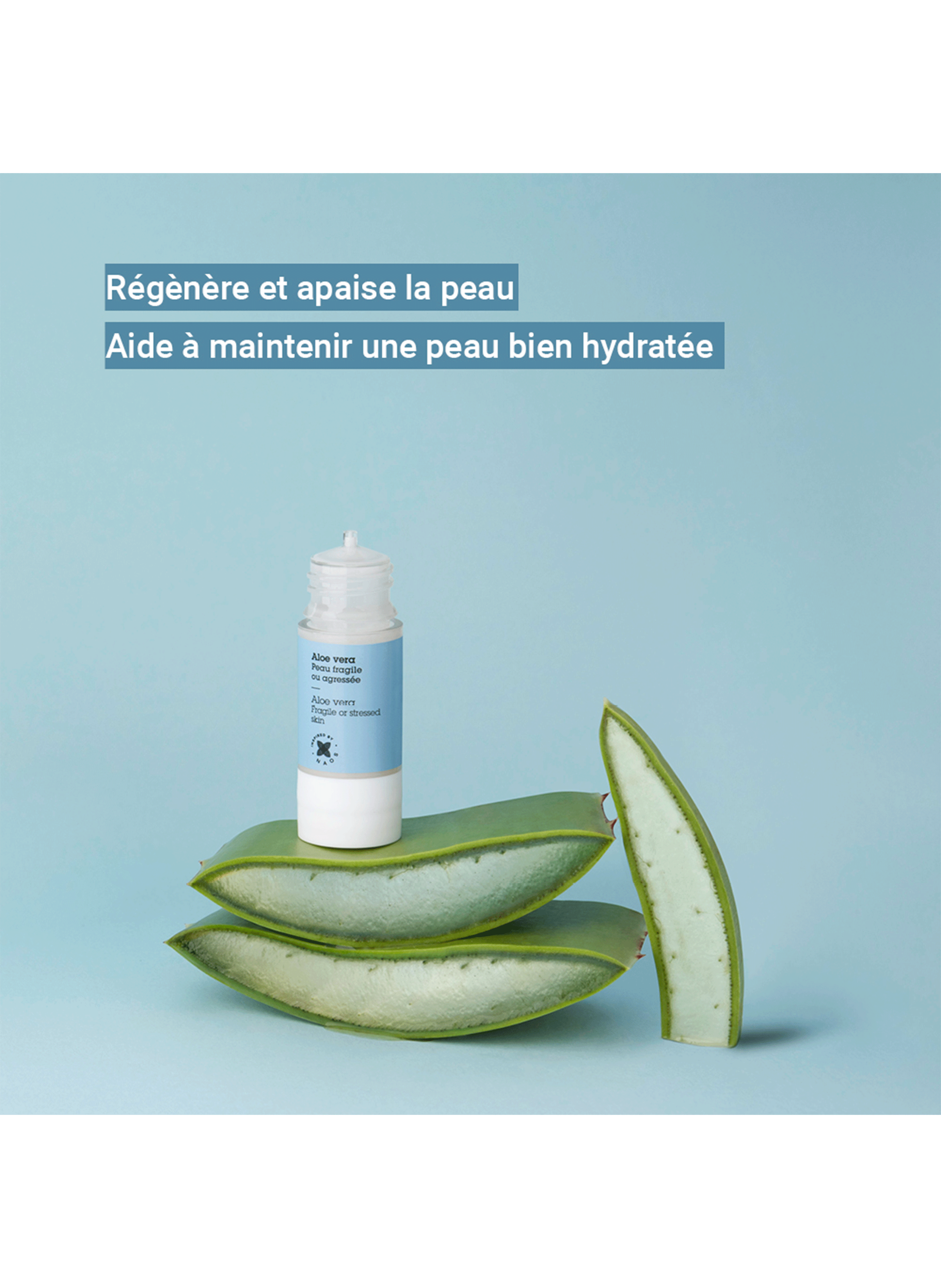 Actif pur aloe vera ETAT PUR No color