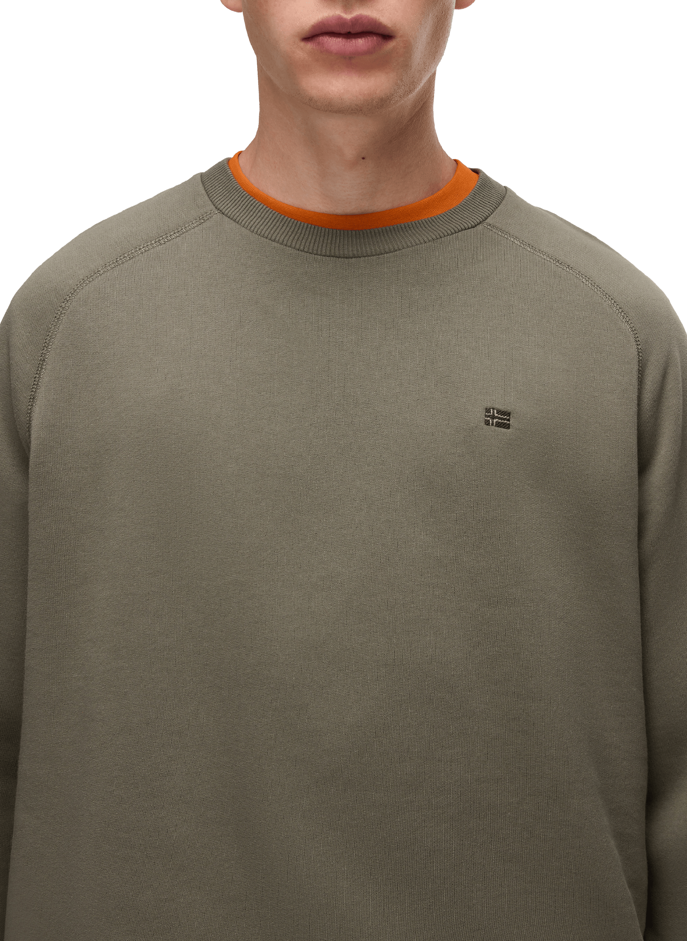 Cotton sweatshirt NAPAPIJRI Green