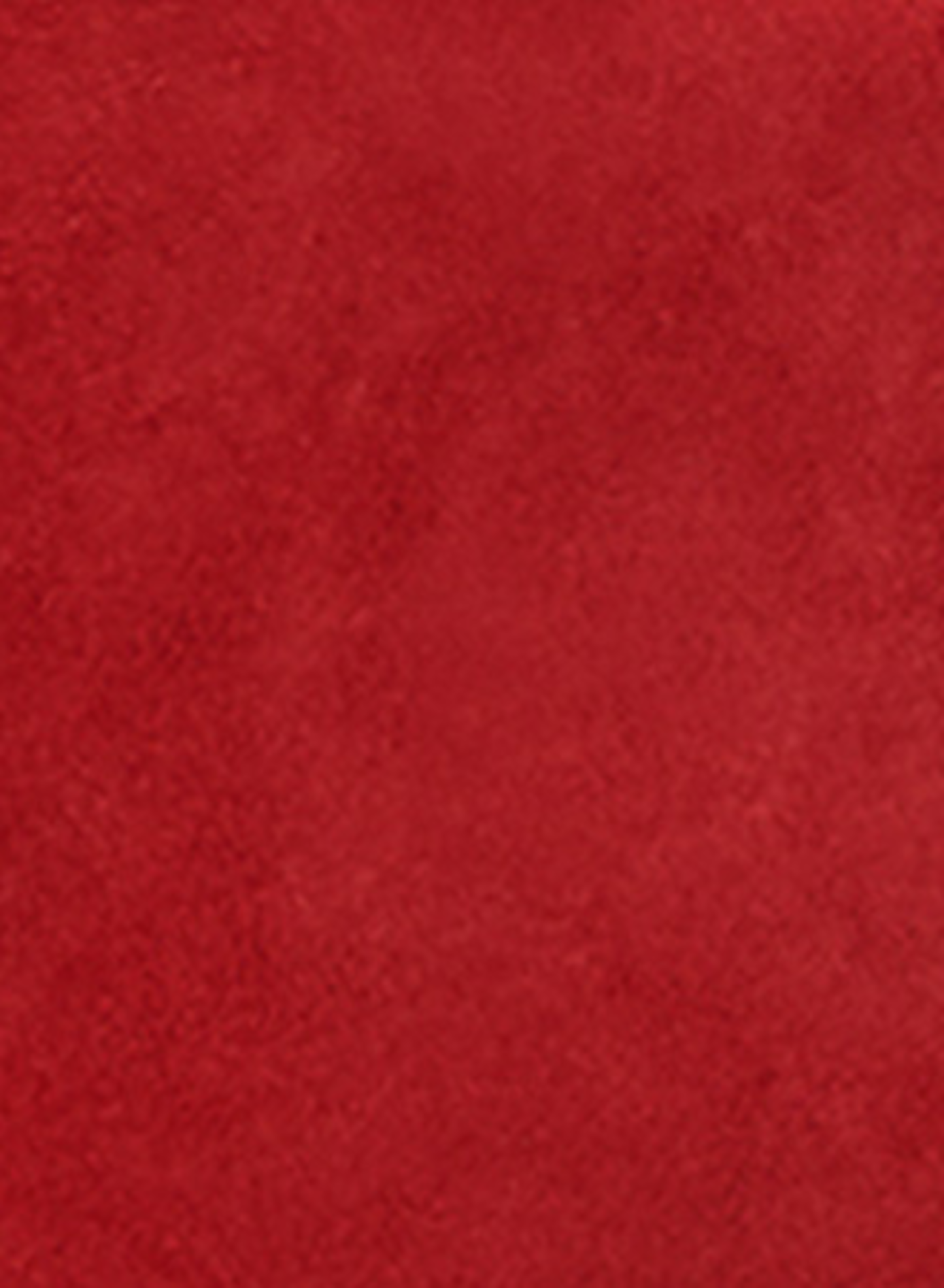 Oskan soft zip leather calf suede bag ISABEL MARANT Red