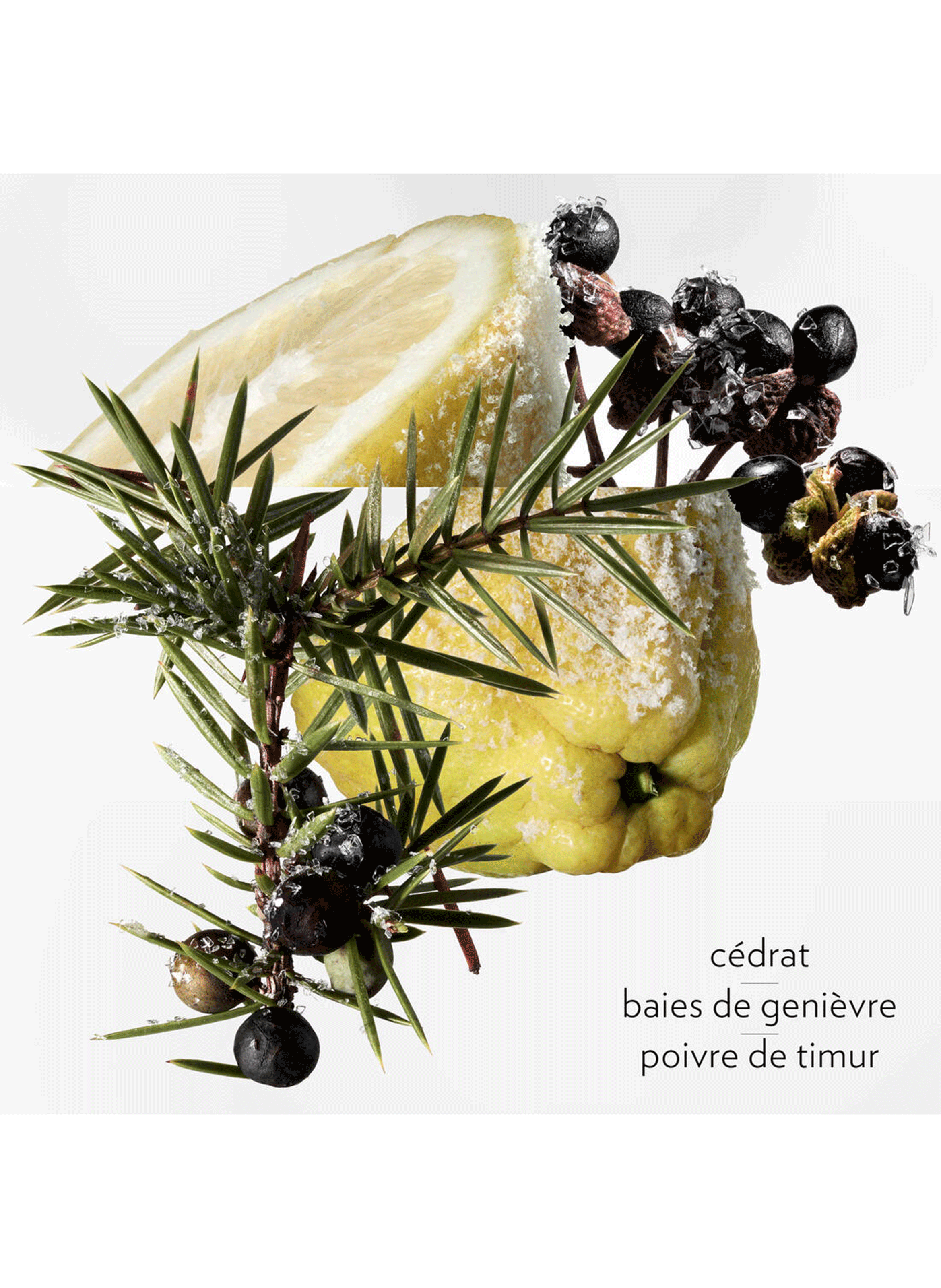 Terre d?Hermès Eau Givrée eau de parfum HERMÈS No color