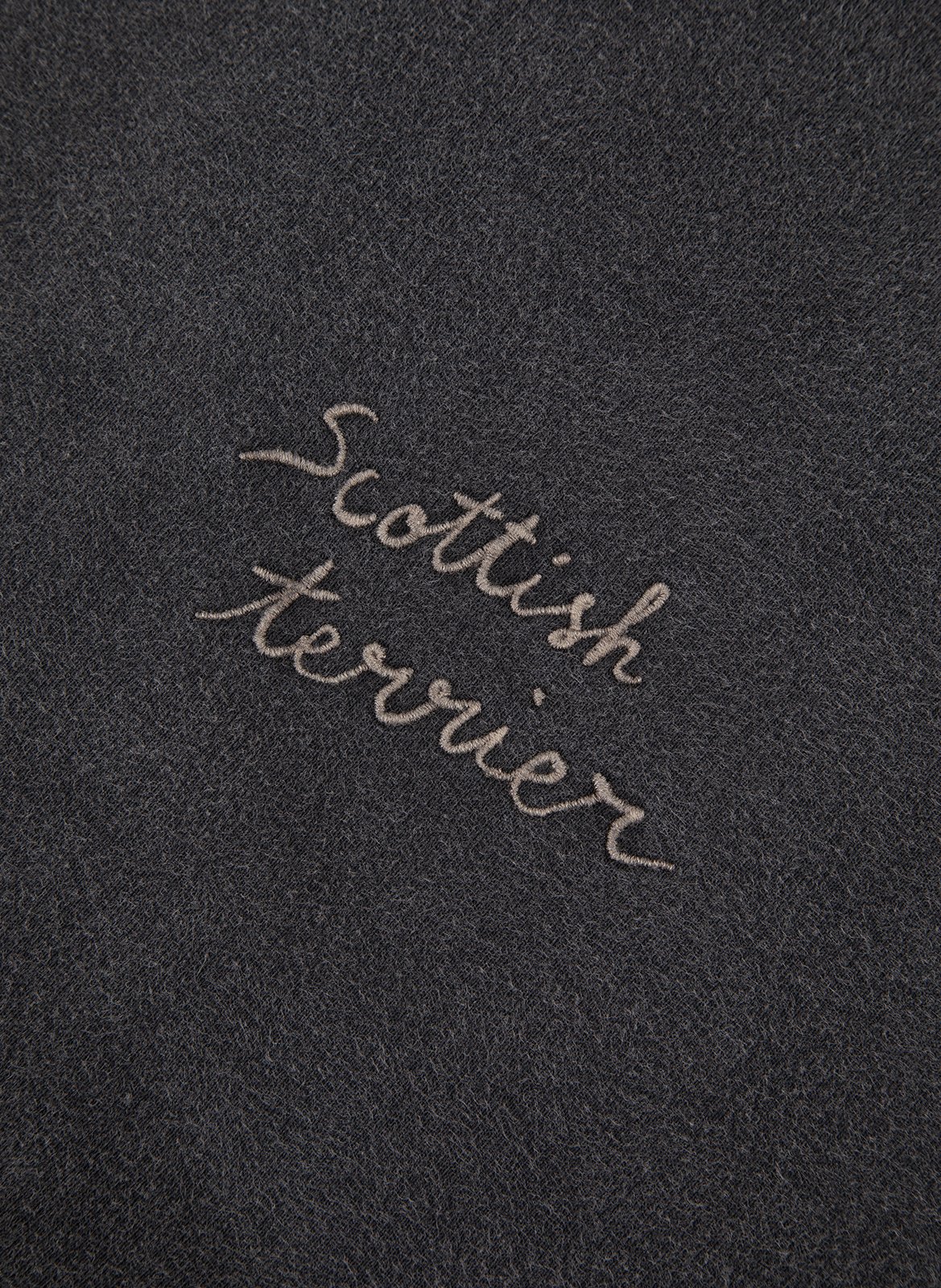 Embroidered cotton hoodie MAISON LABICHE Black