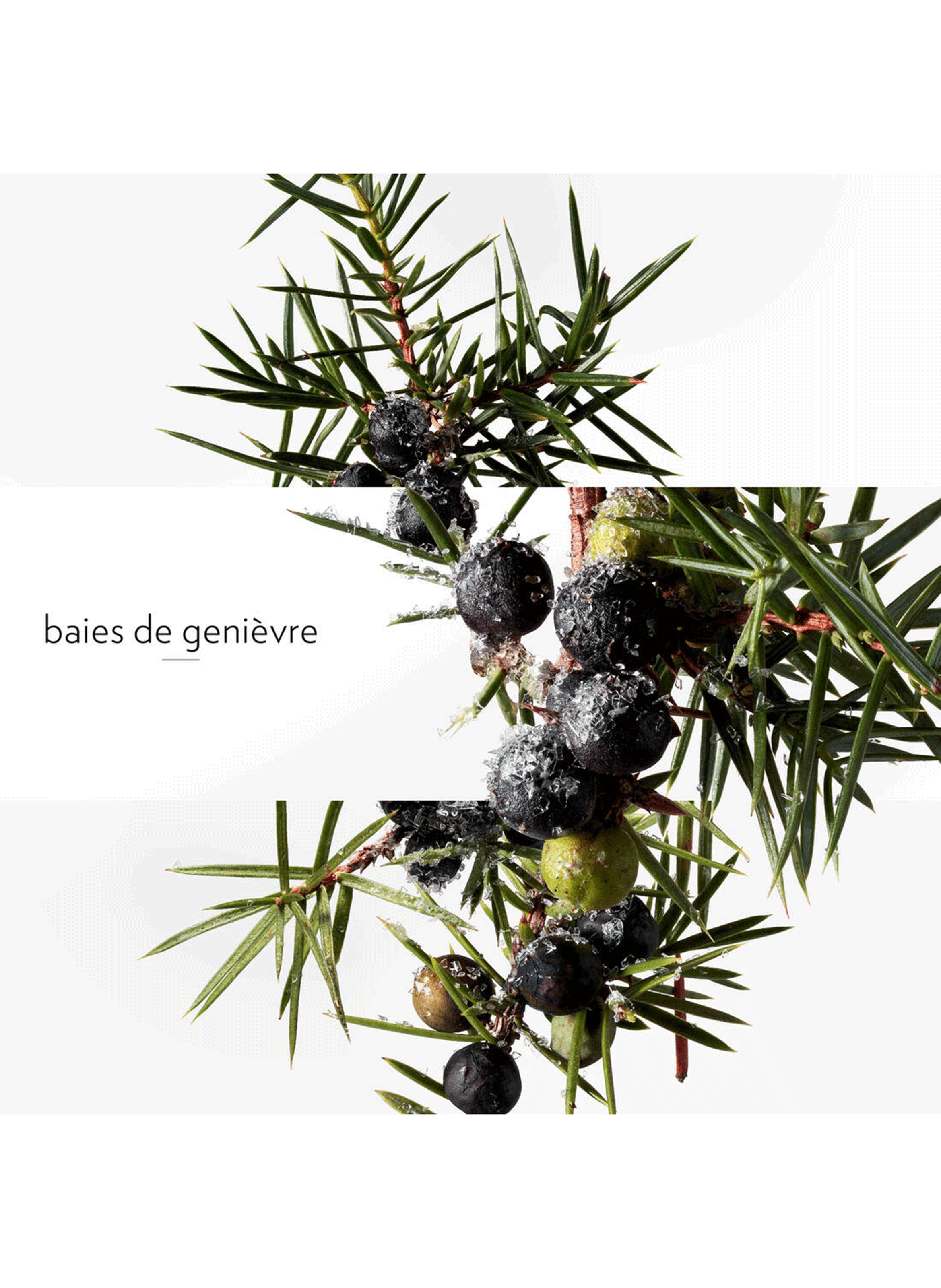 Terre d?Hermès Eau Givrée eau de parfum HERMÈS No color