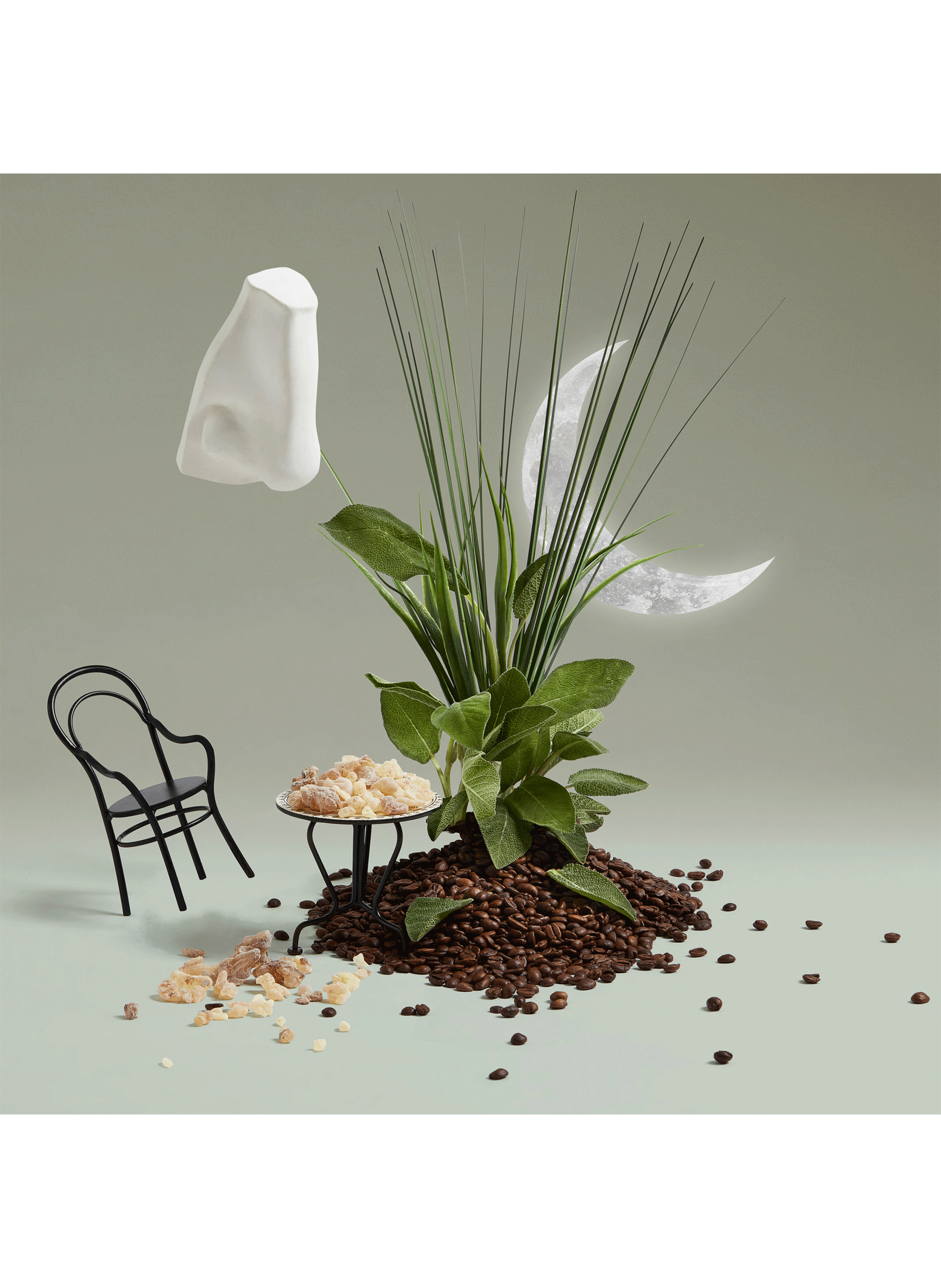 Eau de cologne Endymion PENHALIGON'S No color