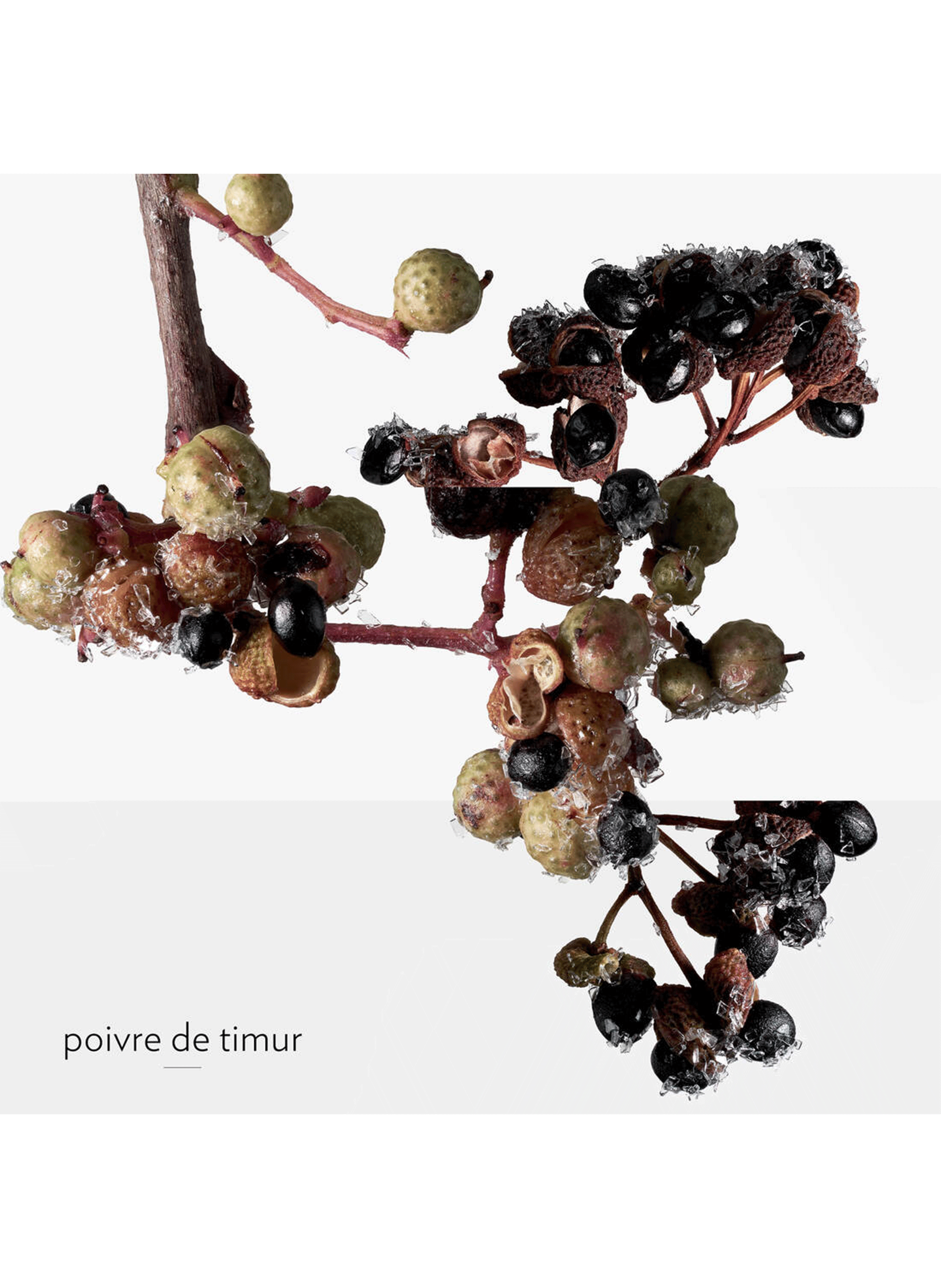 Terre d?Hermès Eau Givrée eau de parfum HERMÈS No color