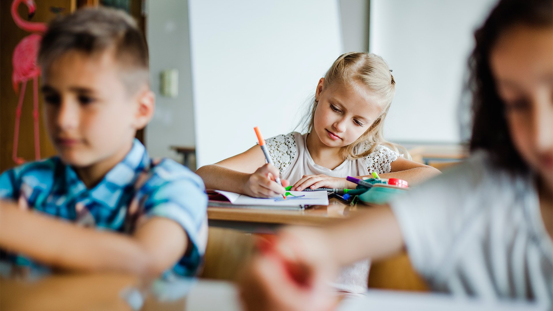 Image d'illustration