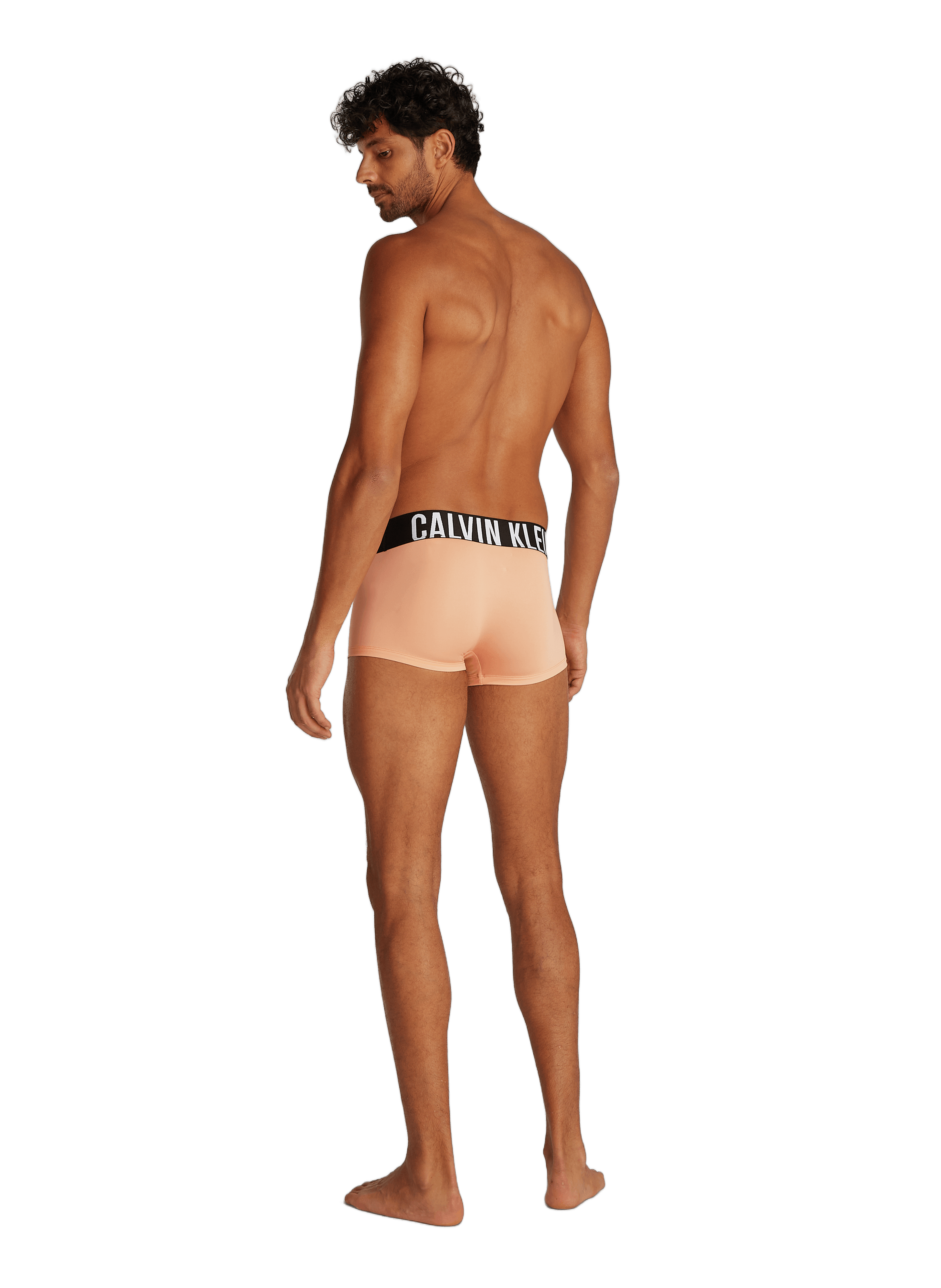 Lot de 3 boxers en coton  CALVIN KLEIN Multicolore