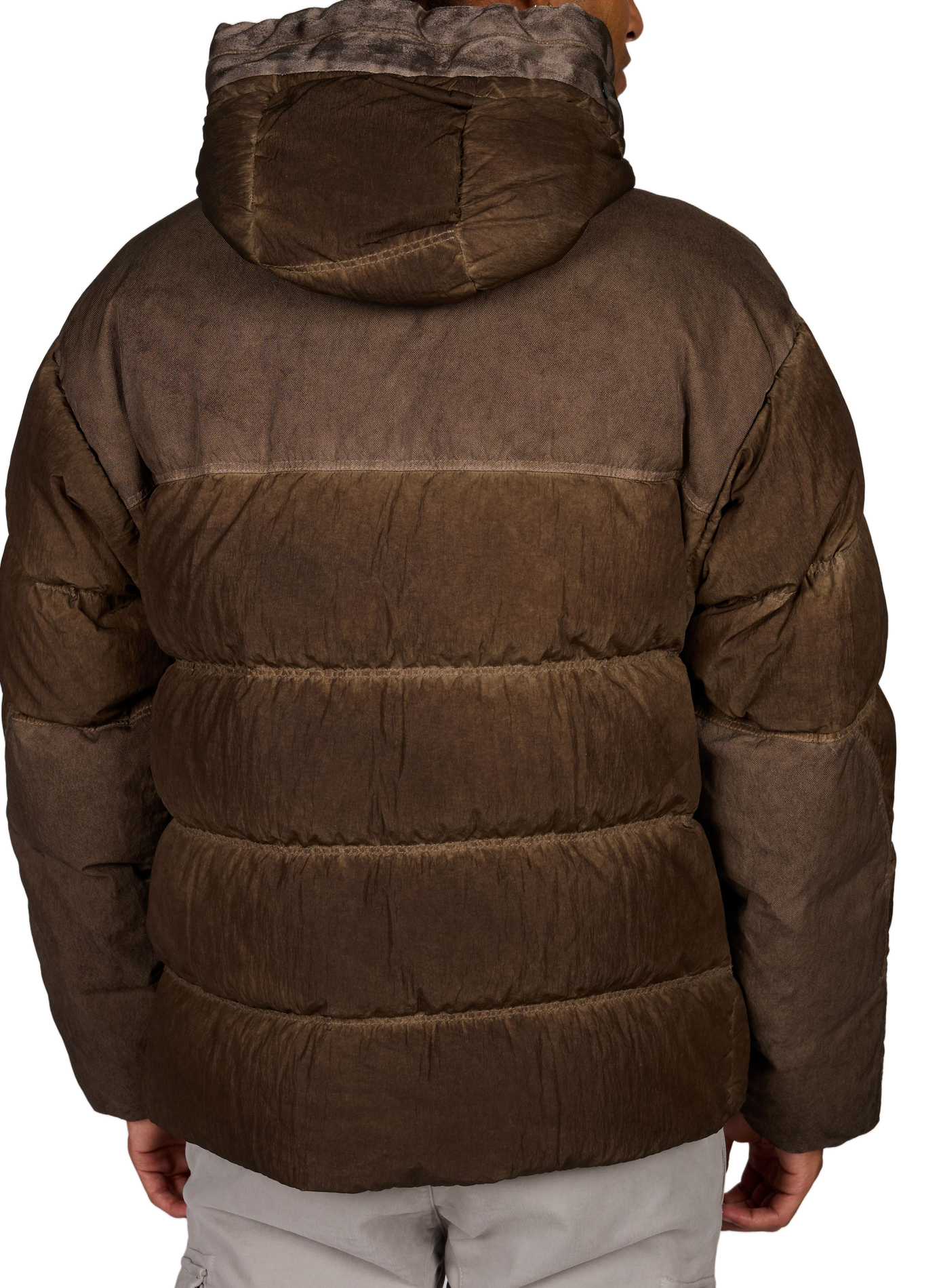 Korte gewatteerde donsjas CP COMPANY Bruin