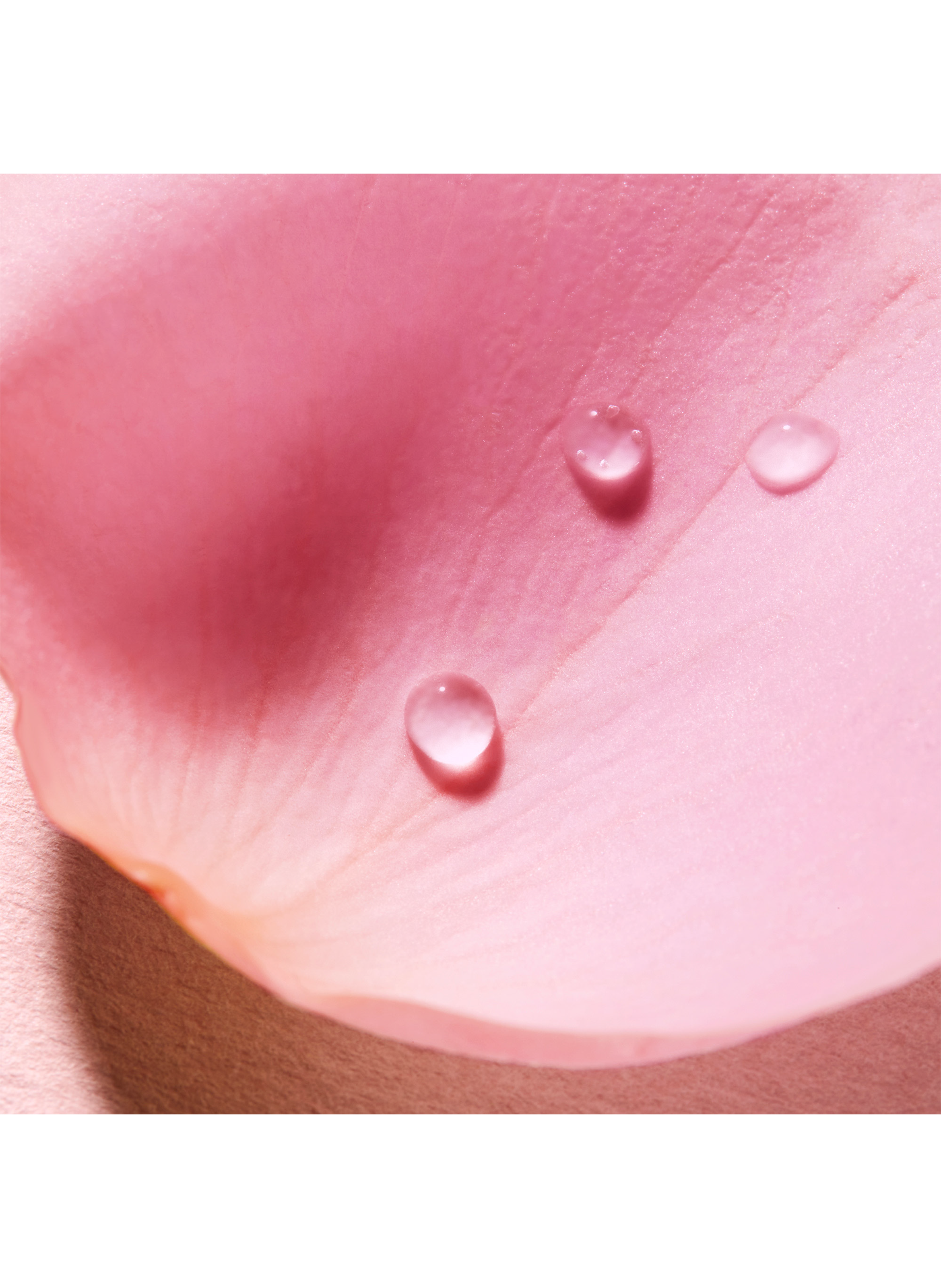 Eau Micellaire Apaisante 3-en-1 Very rose NUXE No color