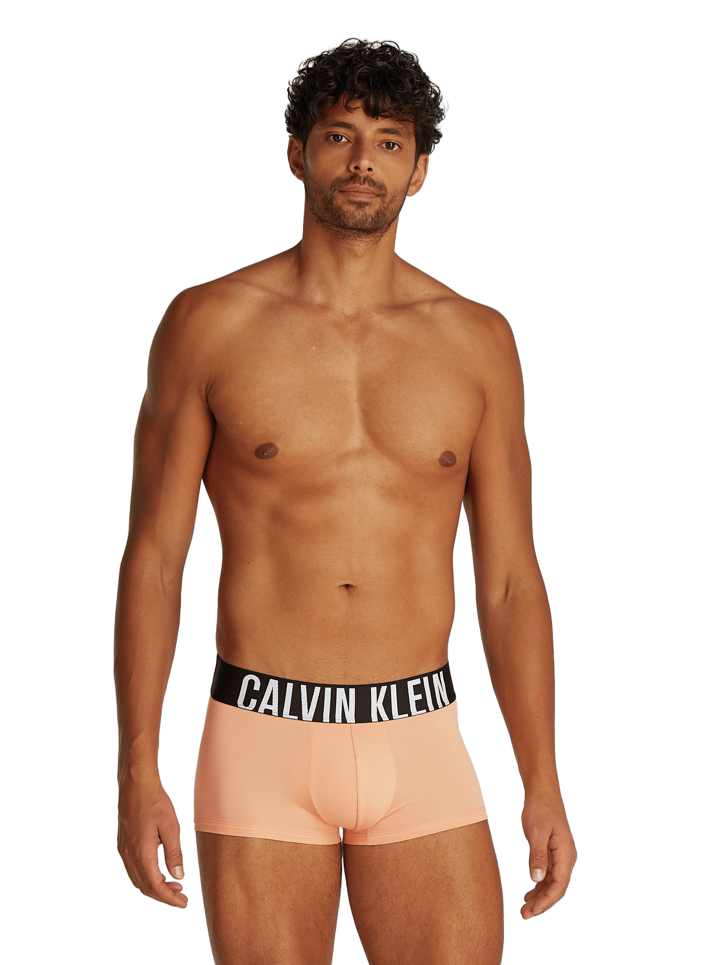 Lot de 3 boxers en coton  CALVIN KLEIN Multicolore