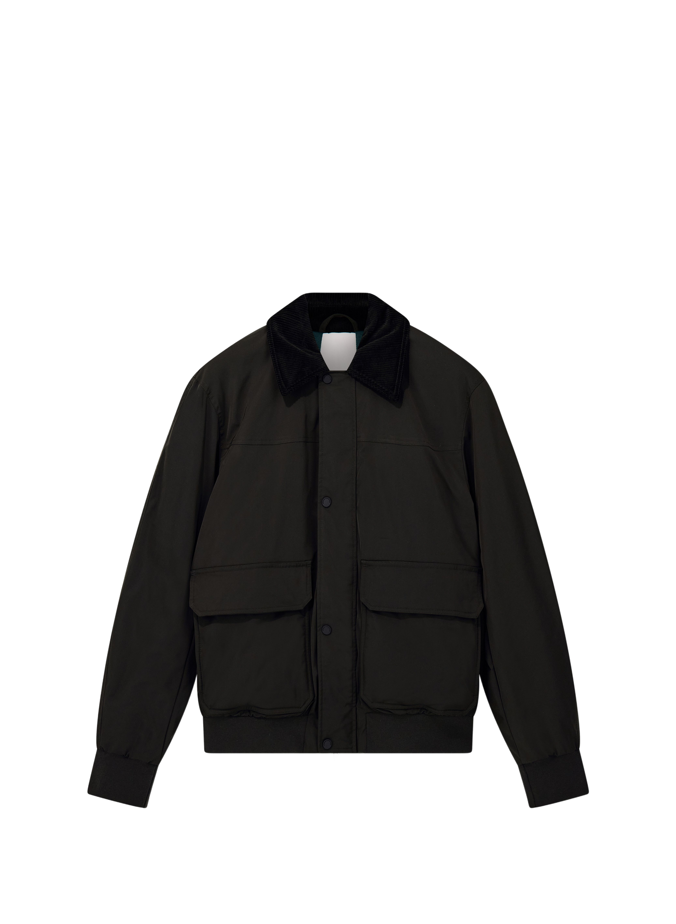 Blouson droit à col velours côtelé ARMANI EXCHANGE Kaki