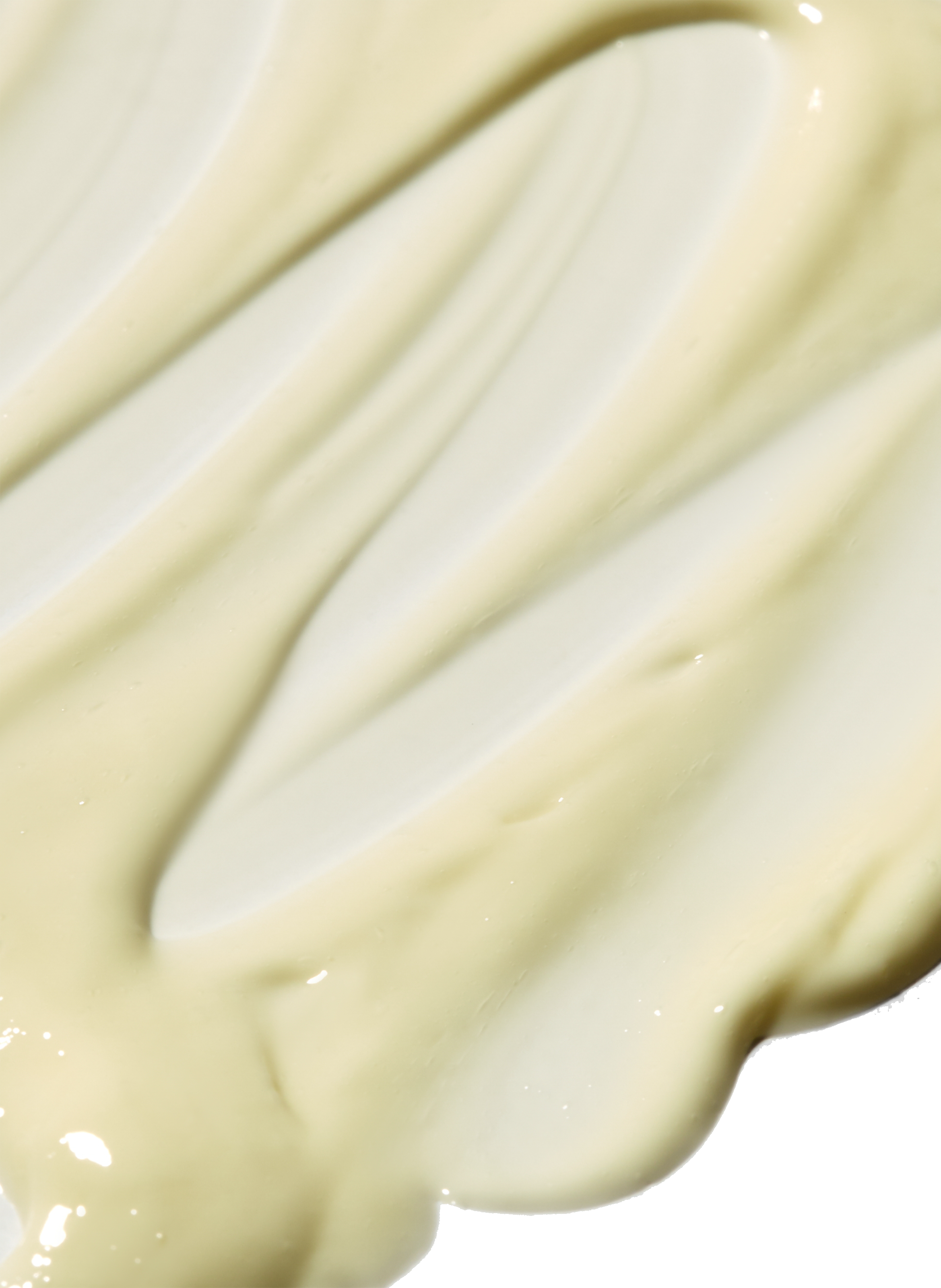 Salvation Jane - Omega-Rich Moisturizing Cream PAI No color