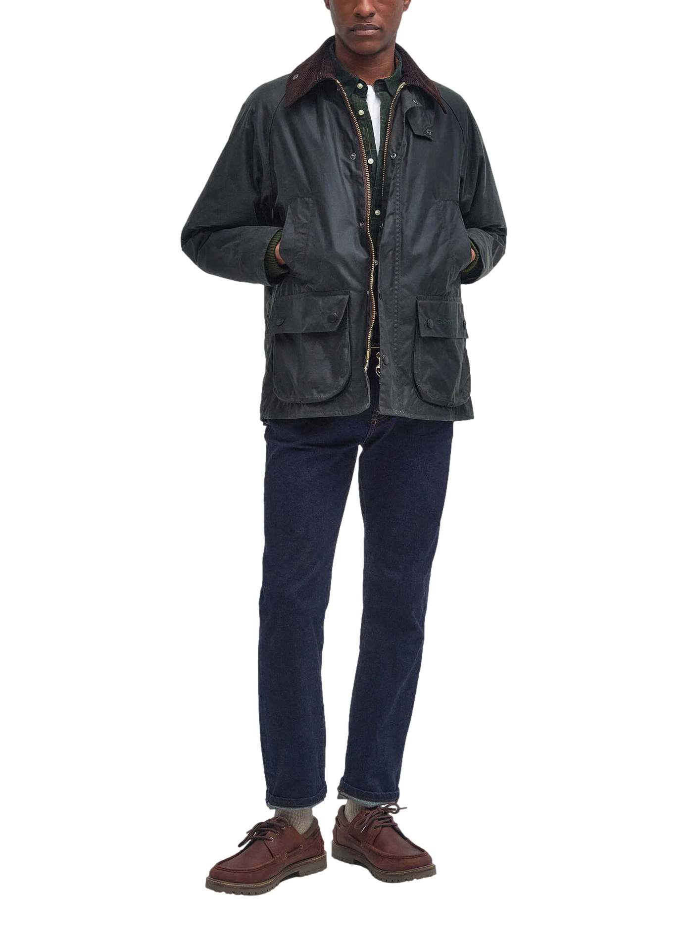 Blouson col classique en coton BARBOUR Vert