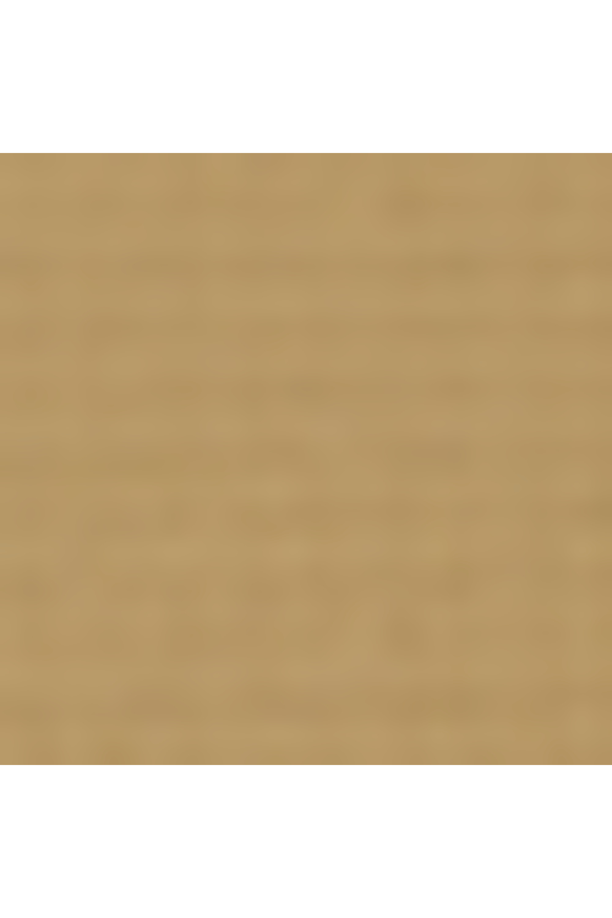 Alpha bravo sac à dos taille s TUMI Kaki