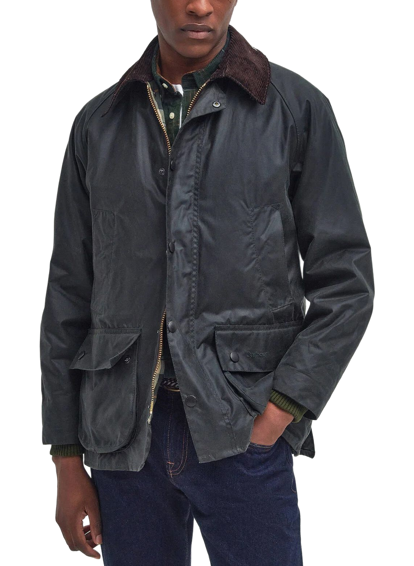 Blouson col classique en coton BARBOUR Vert