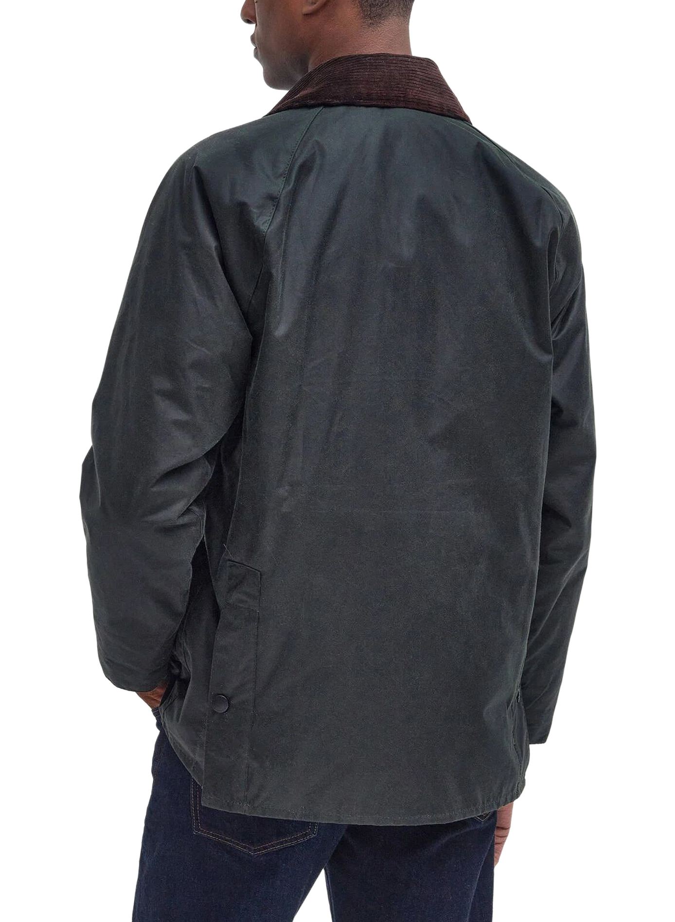 Blouson col classique en coton BARBOUR Vert